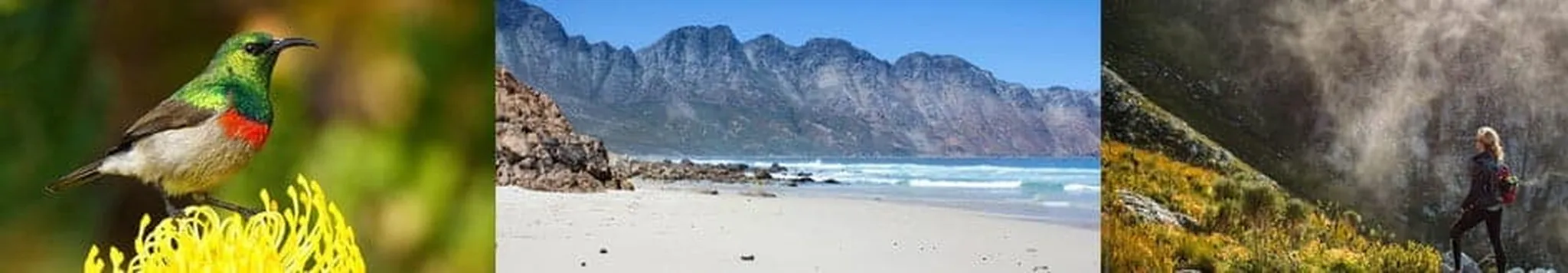 Family friendly activities in Hermanus