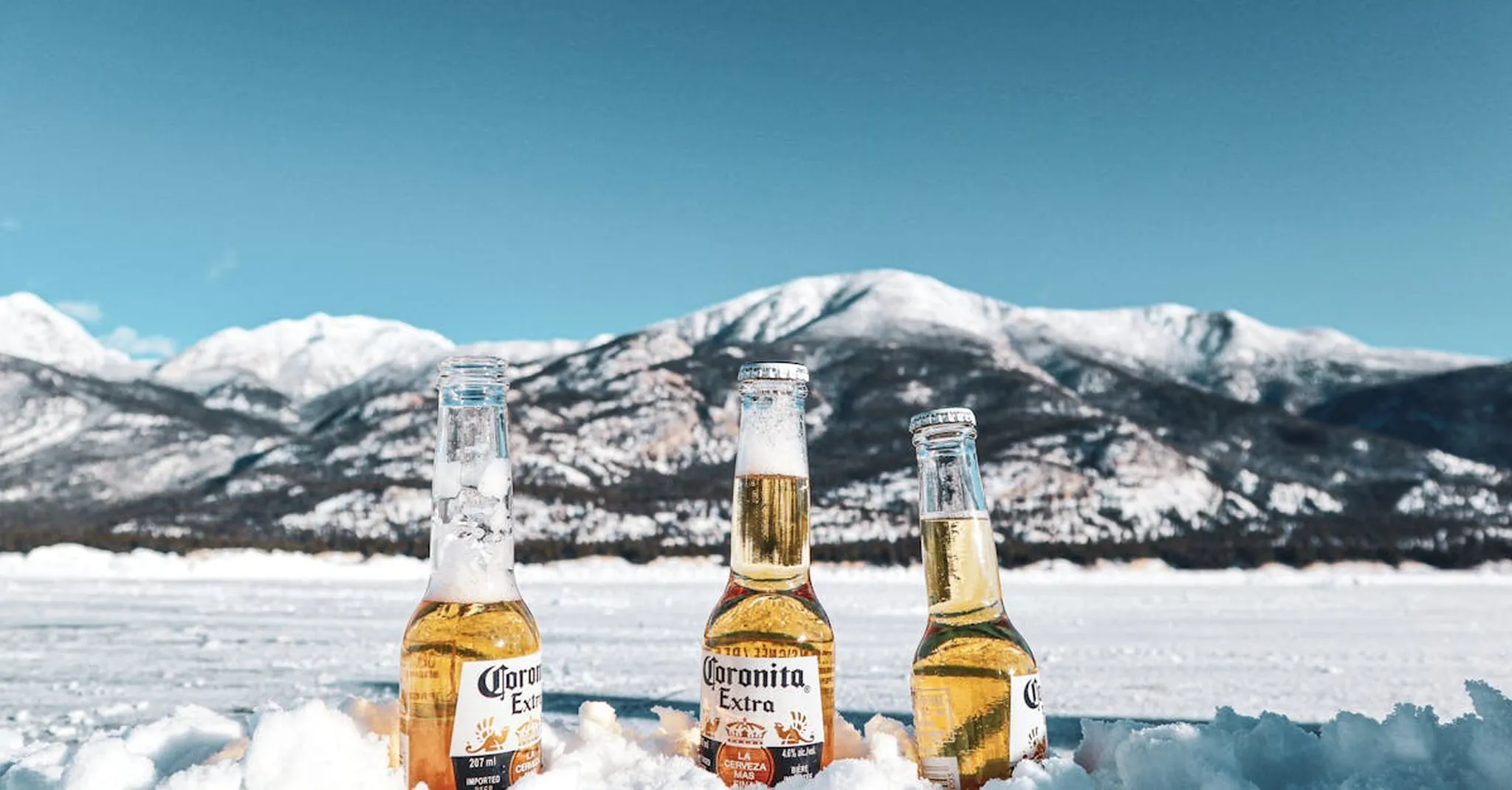 Tahoe Brewfest 2026: Your Guide to Craft Beer Weekend & Cabin Stays