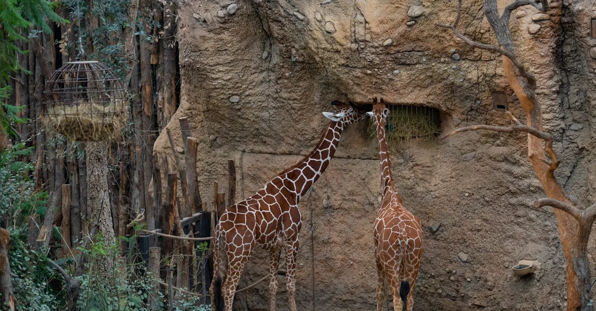 Pittsburgh Zoo Summer Nights 2026: Where to Stay for Evening Events