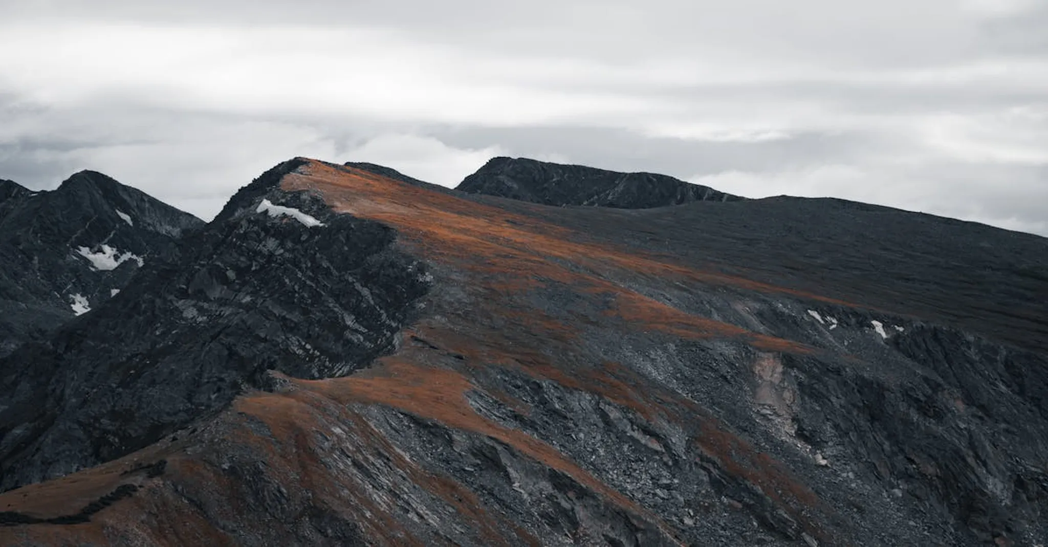 Colorado Springs Pet-Friendly Vacation Rentals: Traveling with Dogs in 2026