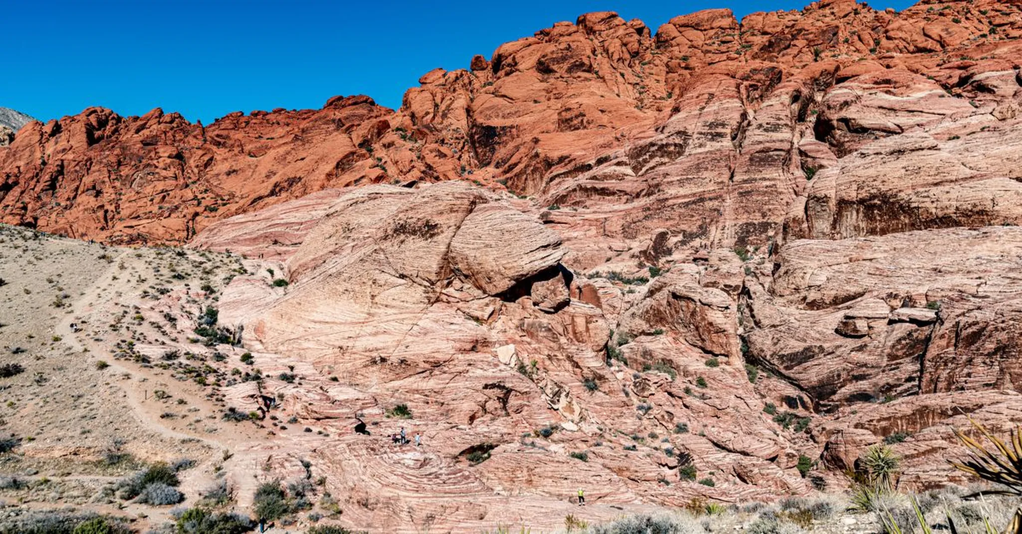 Red Rock Canyon Open Space: Colorado Springs' Hidden Hiking Gem