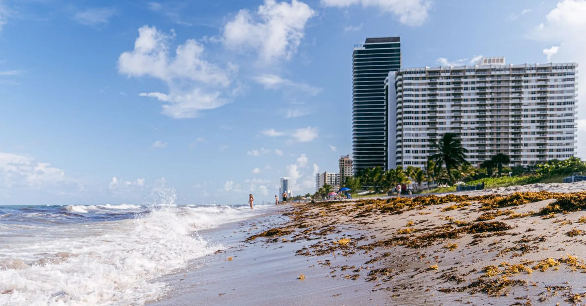 New Smyrna Beach vs Daytona Beach Shores: Which Is Right for Your 2026 Trip?