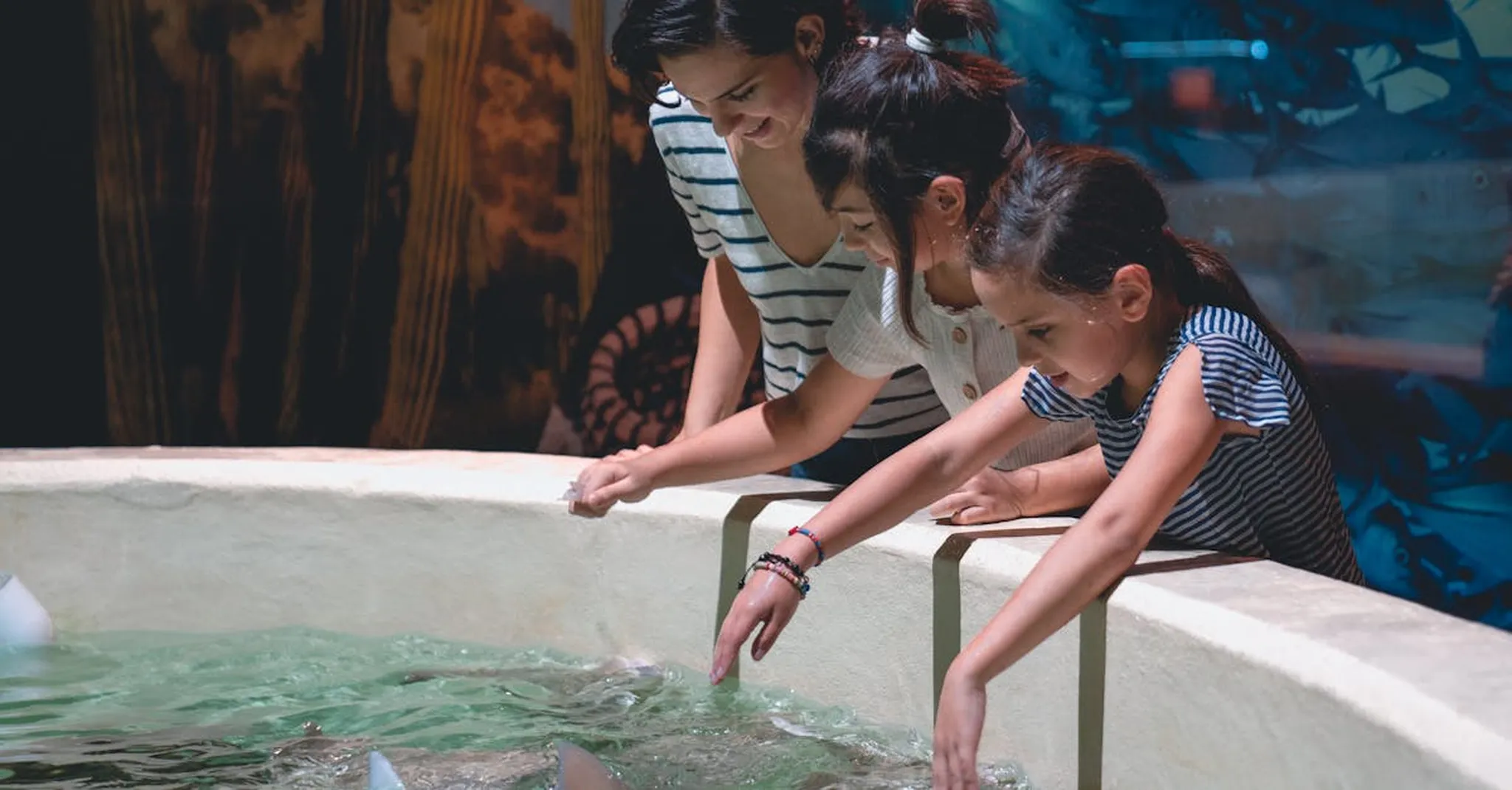 Aquaria KLCC with Kids 2026: Family Day Out Guide and Where to Stay Nearby