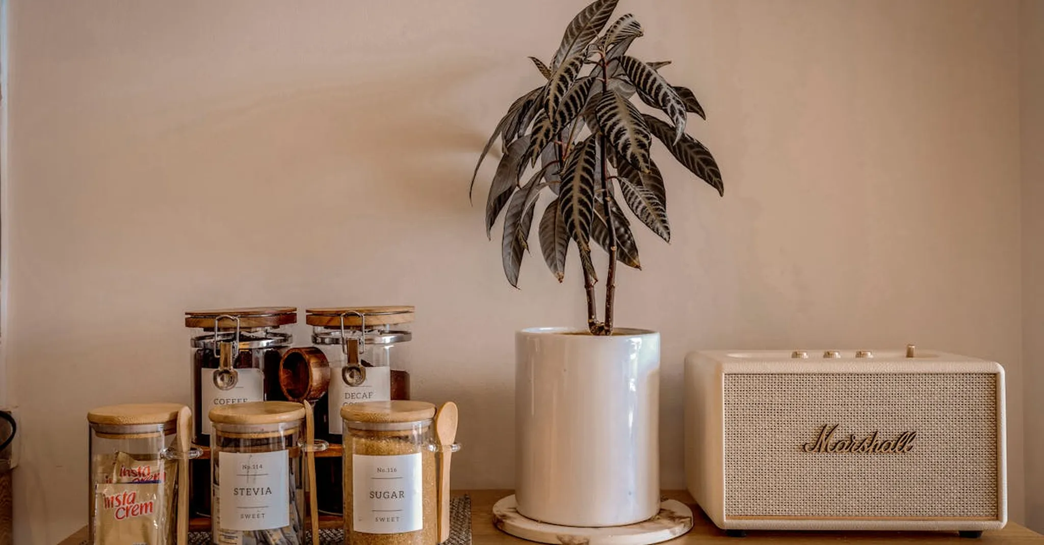 Aesthetic indoor setup with coffee jars, potted plant, and retro speaker.
