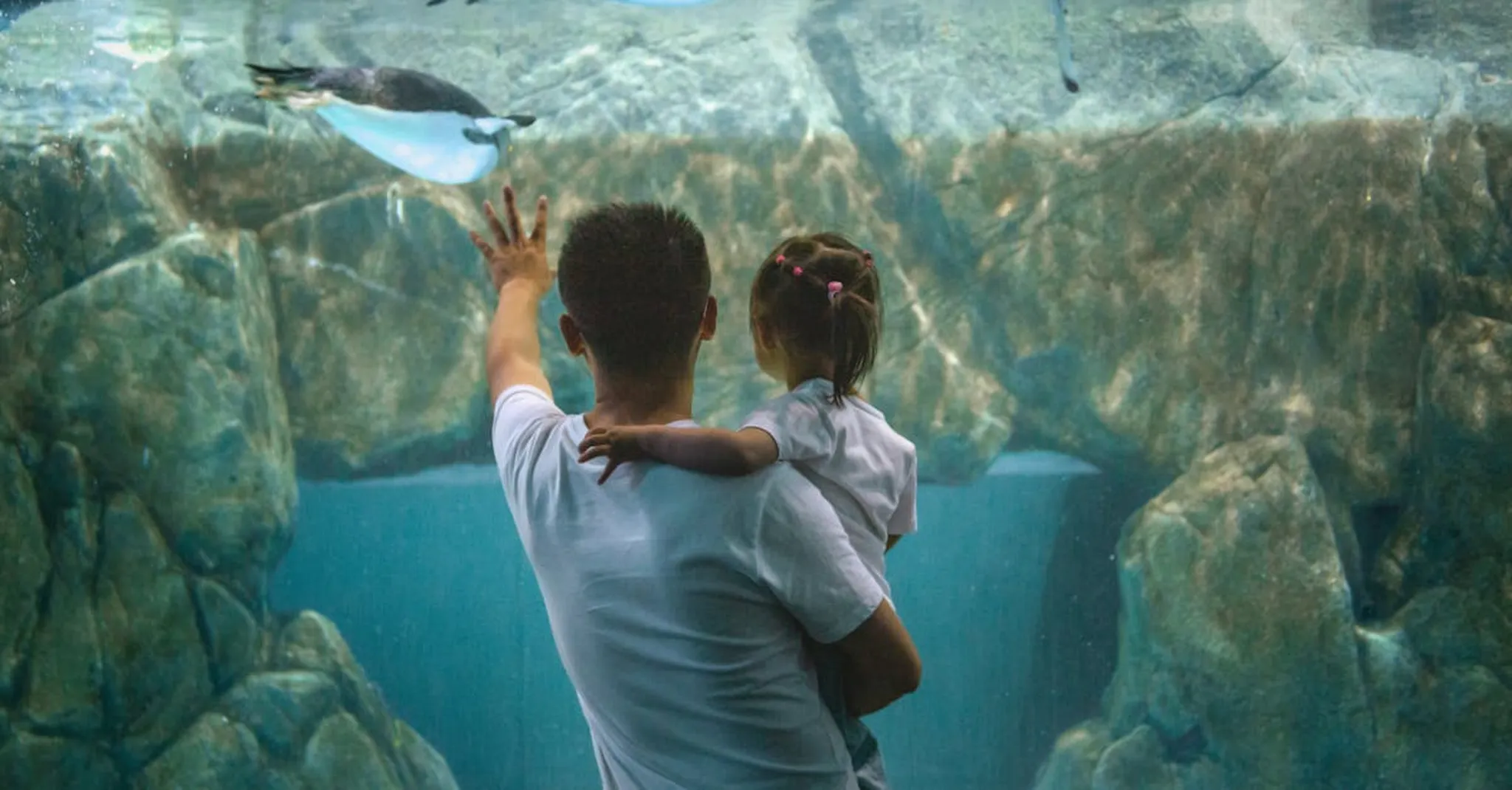 Acuario Mazatlán with Kids: Your Complete Family Day Trip Guide and Nearby Stays