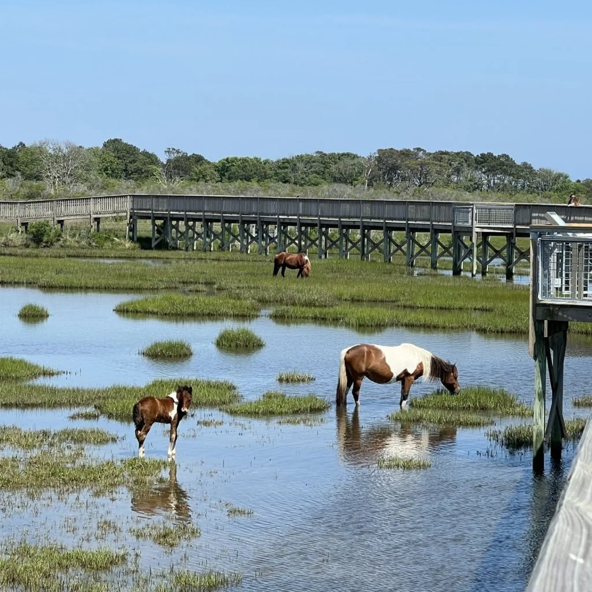 https://storage.googleapis.com/hostai-booking-prod-photos/clients/oceancityvacationhomes/blogs/covers/9fab8ce5-d4ed-473e-a76a-e522284a018d.webp