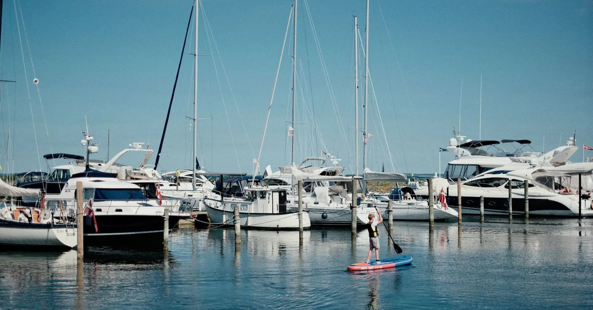 Paddleboarder gliding through a sunlit marina lined with sailboats and yachts under a clear blue sky