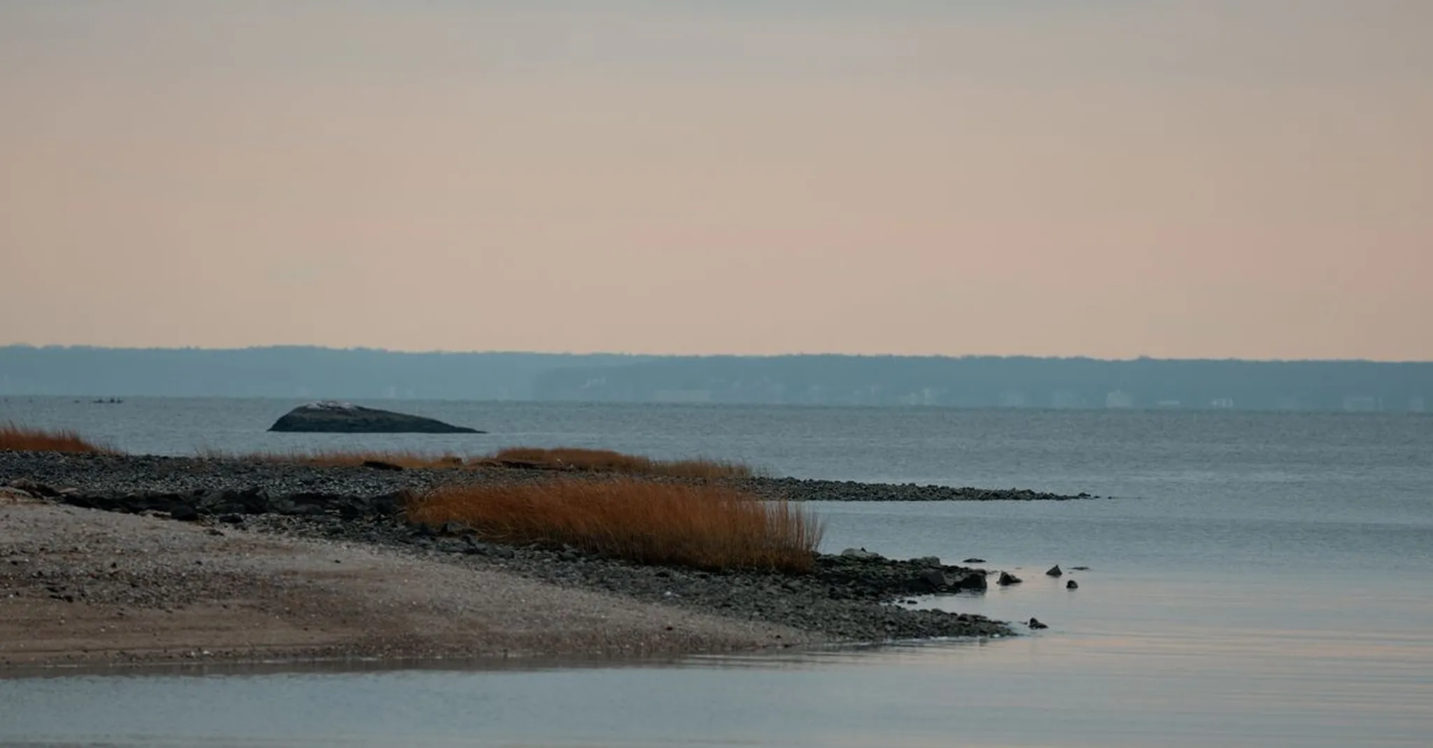 Tranquil coastal shoreline at dusk with rocky beach, tall grasses, and calm water stretching to a distant horizon