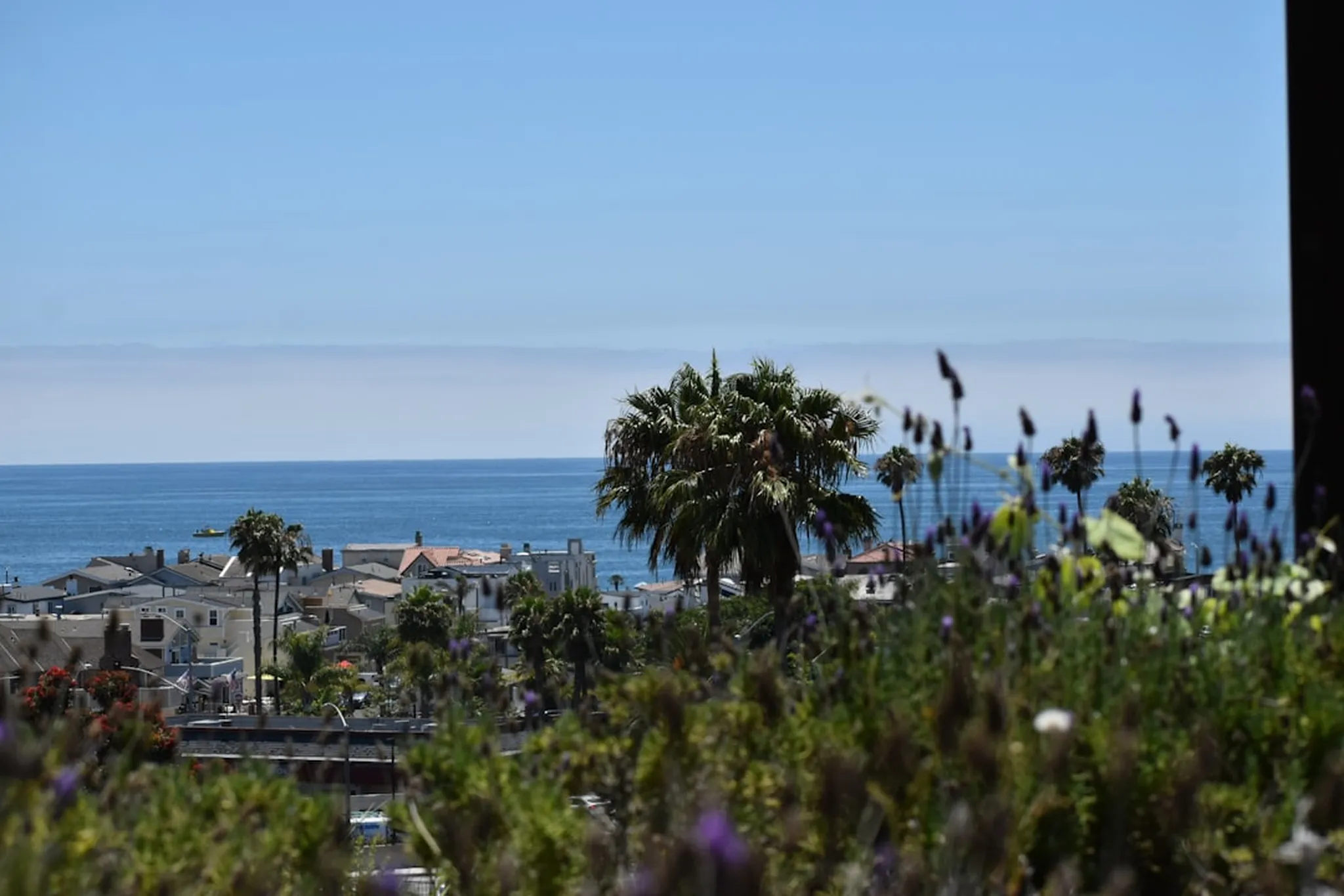 a city with palm trees and water in the background