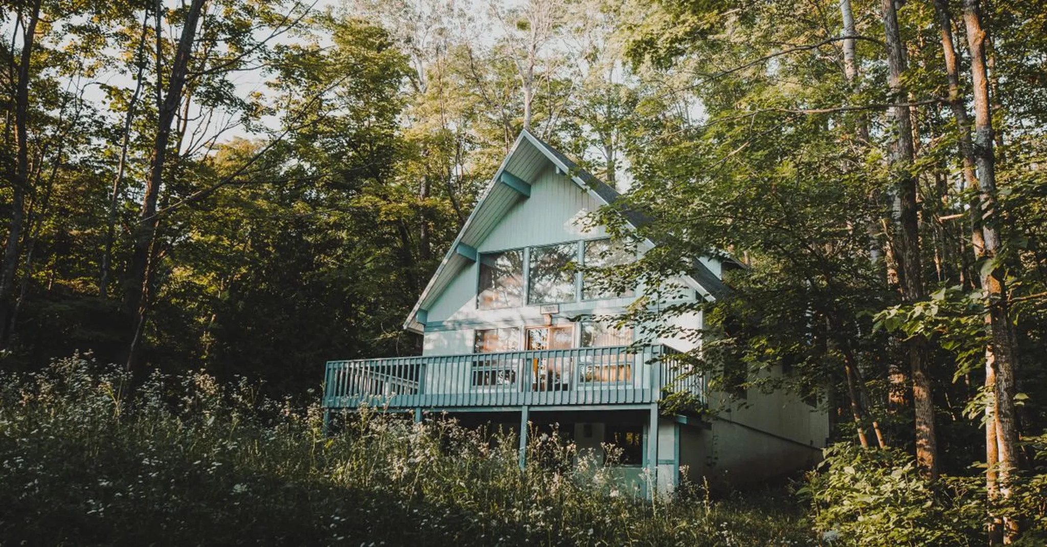 Best Northern Michigan Cabins for Family Reunions: 8+ Guest Stays in Bellaire
