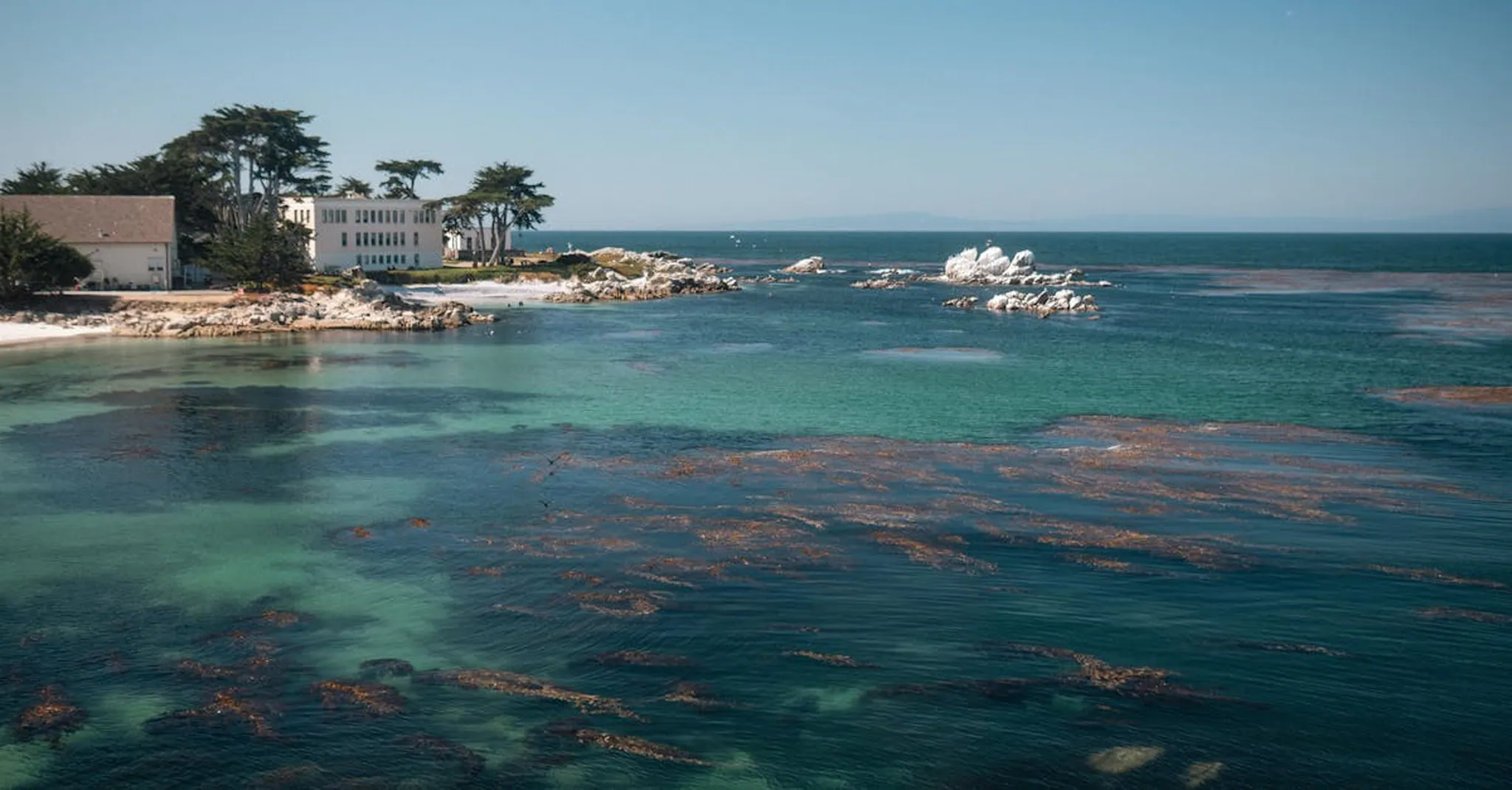 Airbnb in Carmel-by-the-Sea: What to Know Before You Book