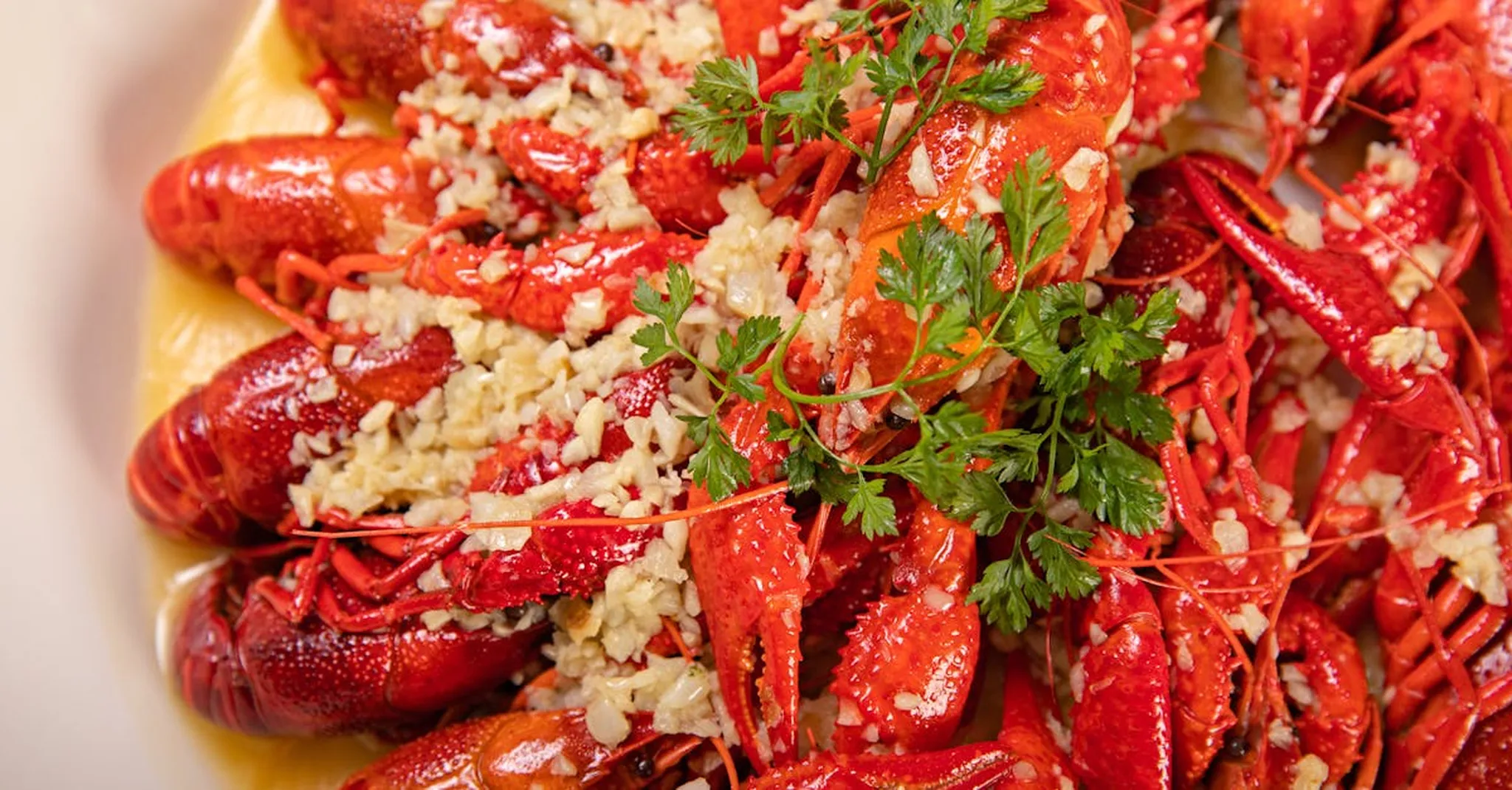 Kingsland Crawfish Festival 2026: Where to Stay for Texas Hill Country's Best Boil