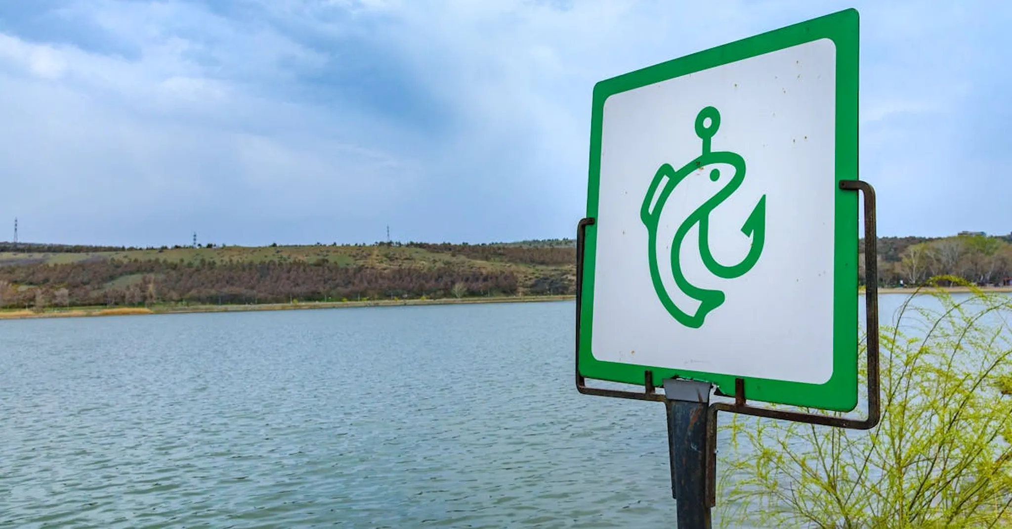 Fishing Lake LBJ and Kingsland: Bass, Catfish & Best Spots for 2026