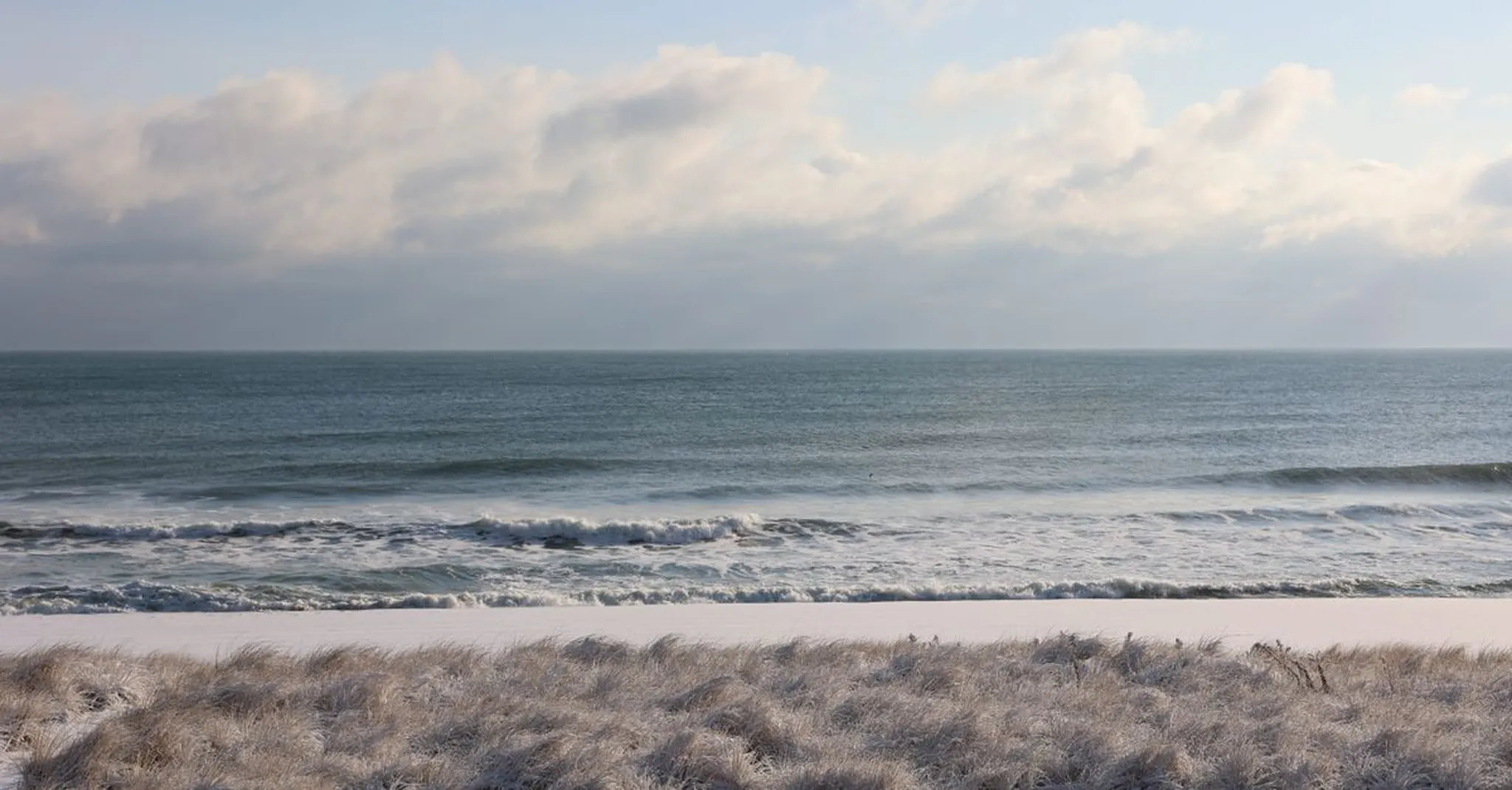 Beach Haven Estate Ocean Grove: Your Cozy Winter Coastal Base Guide