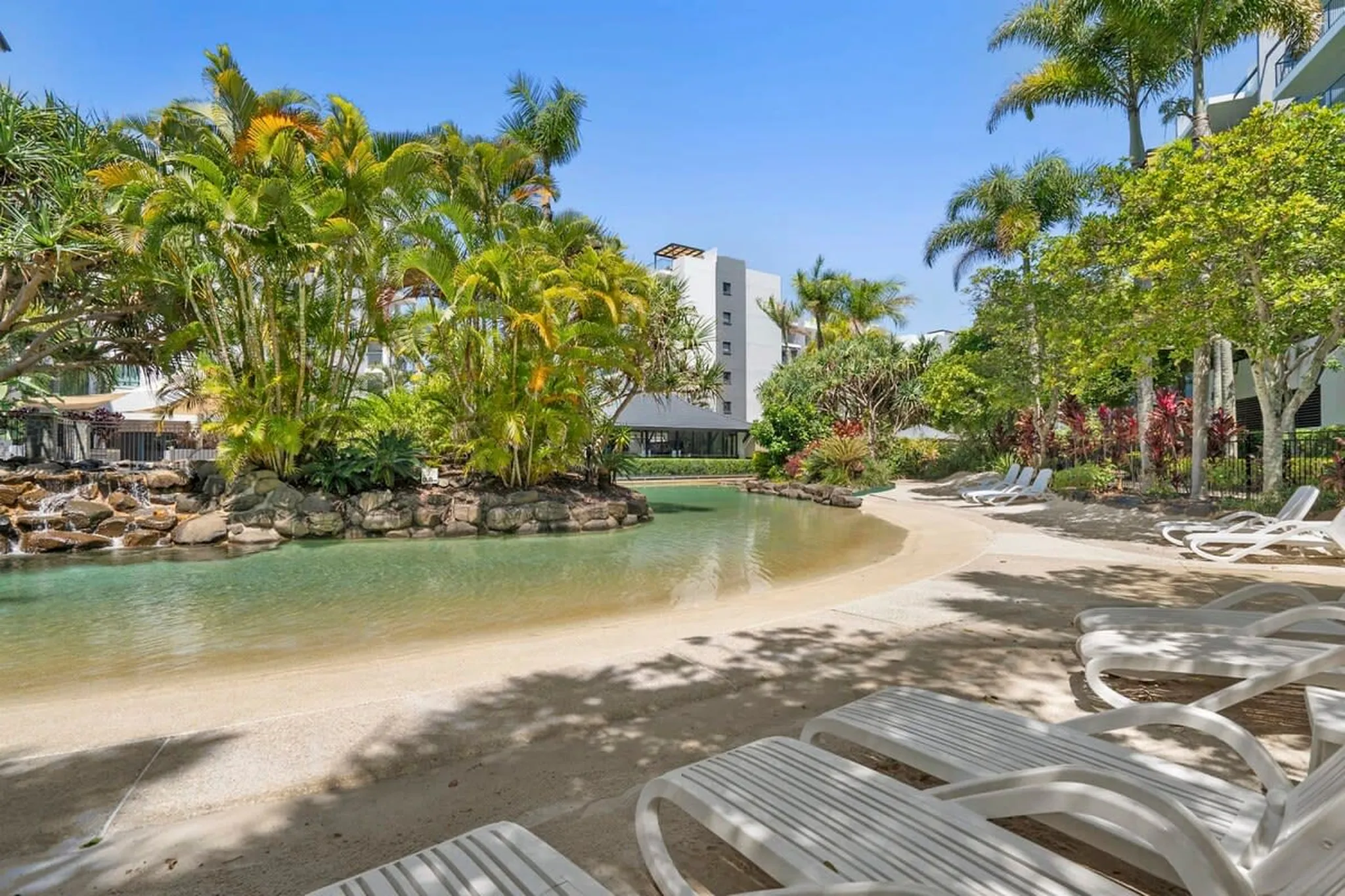 Pool with green palm trees and loungers beside it