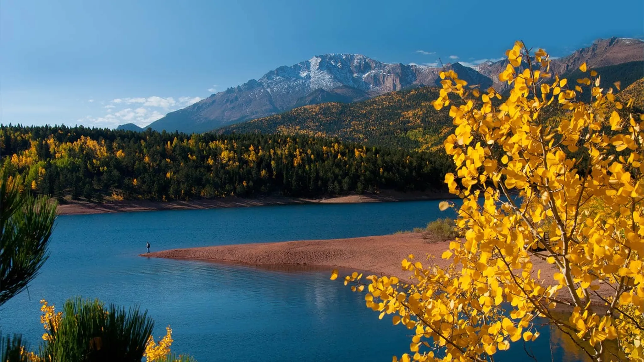 Autumn Colors and Cozy Nights: Colorado Springs Vacation Rentals for a Perfect Fall Retreat