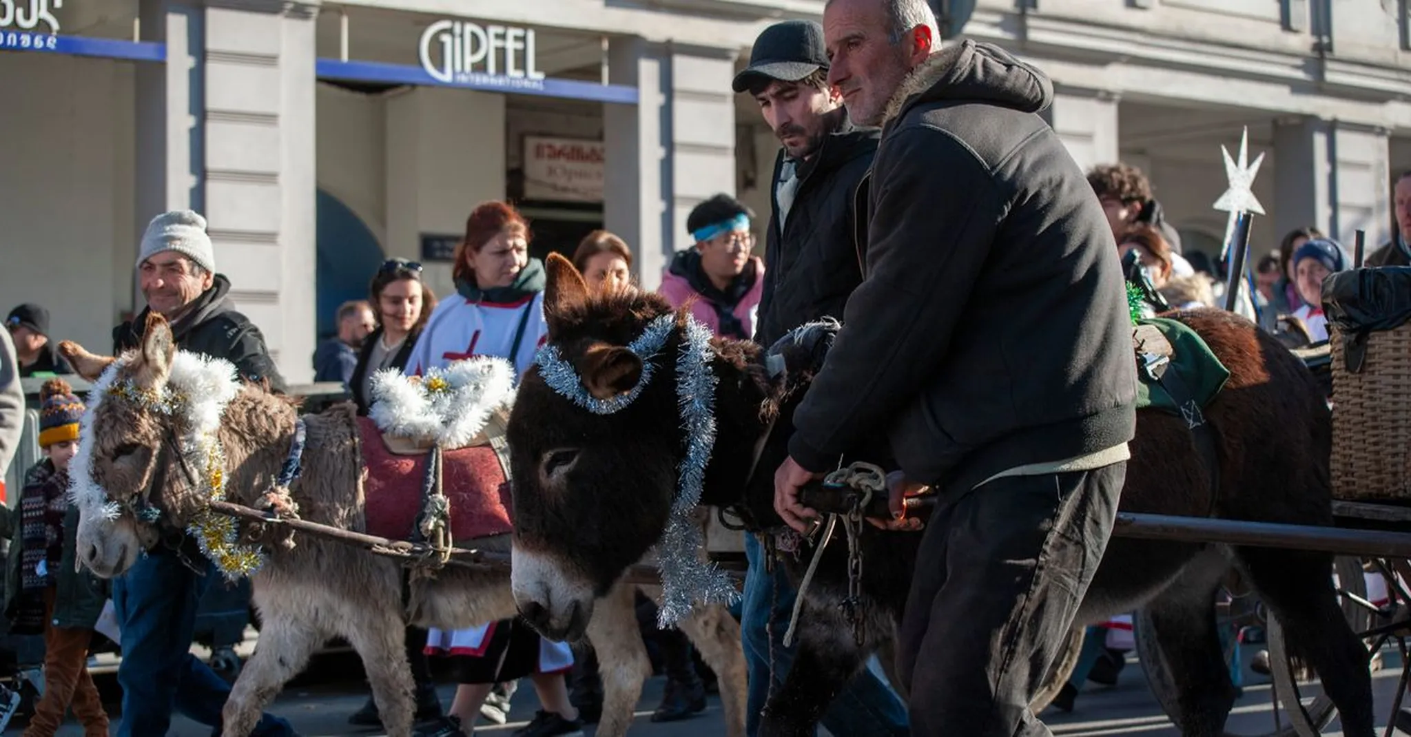 Donkey Derby Days 2026 in Cripple Creek: Gold Rush Festival and Mountain Stays