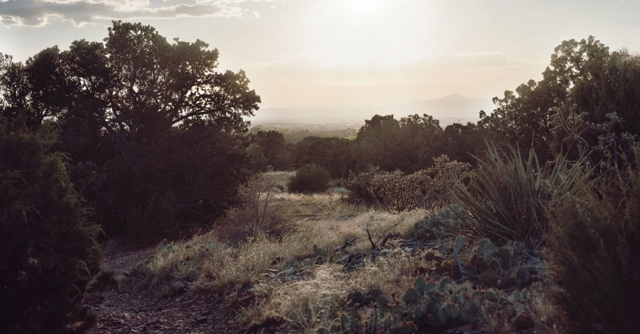 Labor Day Weekend in Santa Fe 2026: Art, Adventure, and Where to Stay