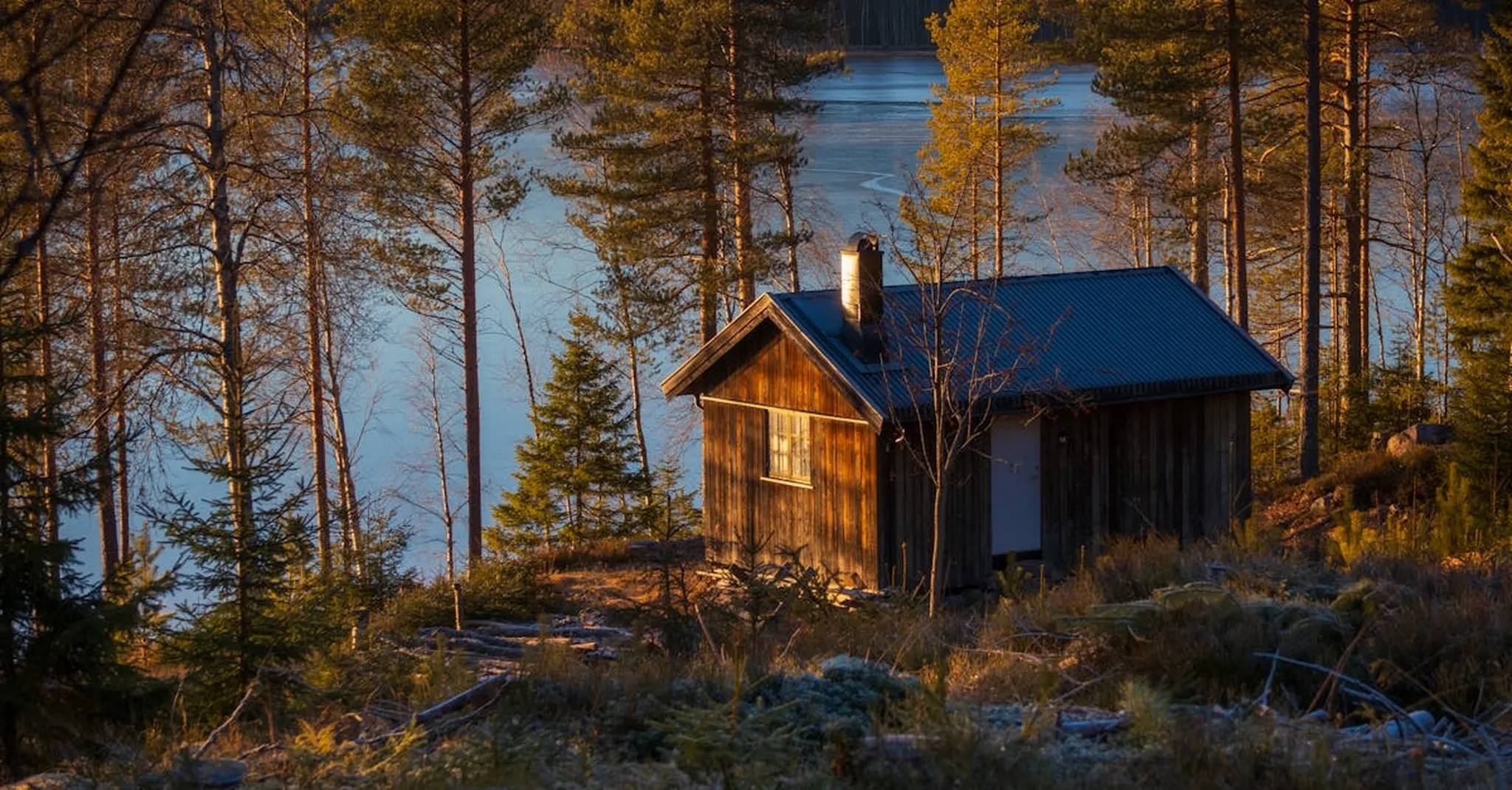 Dollywood Summer Celebration 2026: Best Cabins Near Pigeon Forge