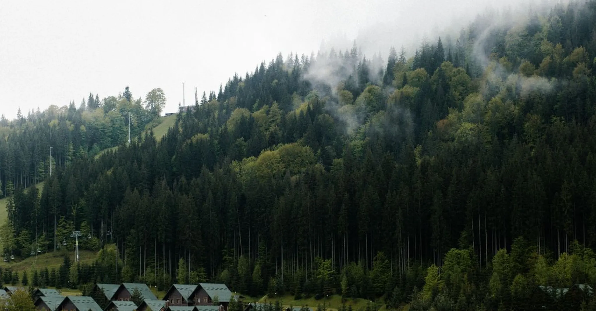 https://storage.googleapis.com/hostai-booking-prod-photos/clients/smokymountainvacationcabins/blogs/covers/a677b375-6d29-499c-8b89-44dce9aff662.jpg