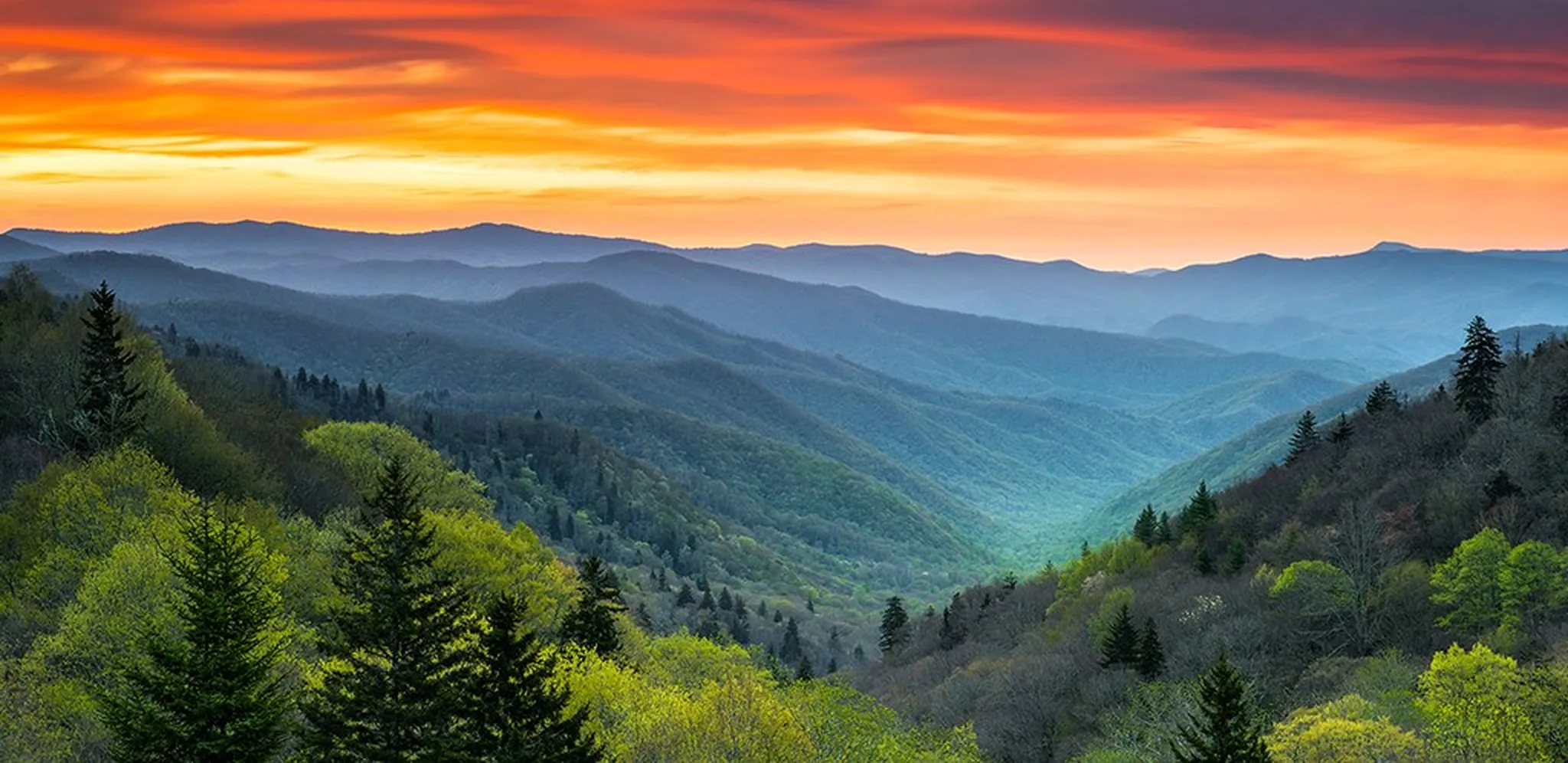 Vacations Homes For Your Perfect Family Getaway