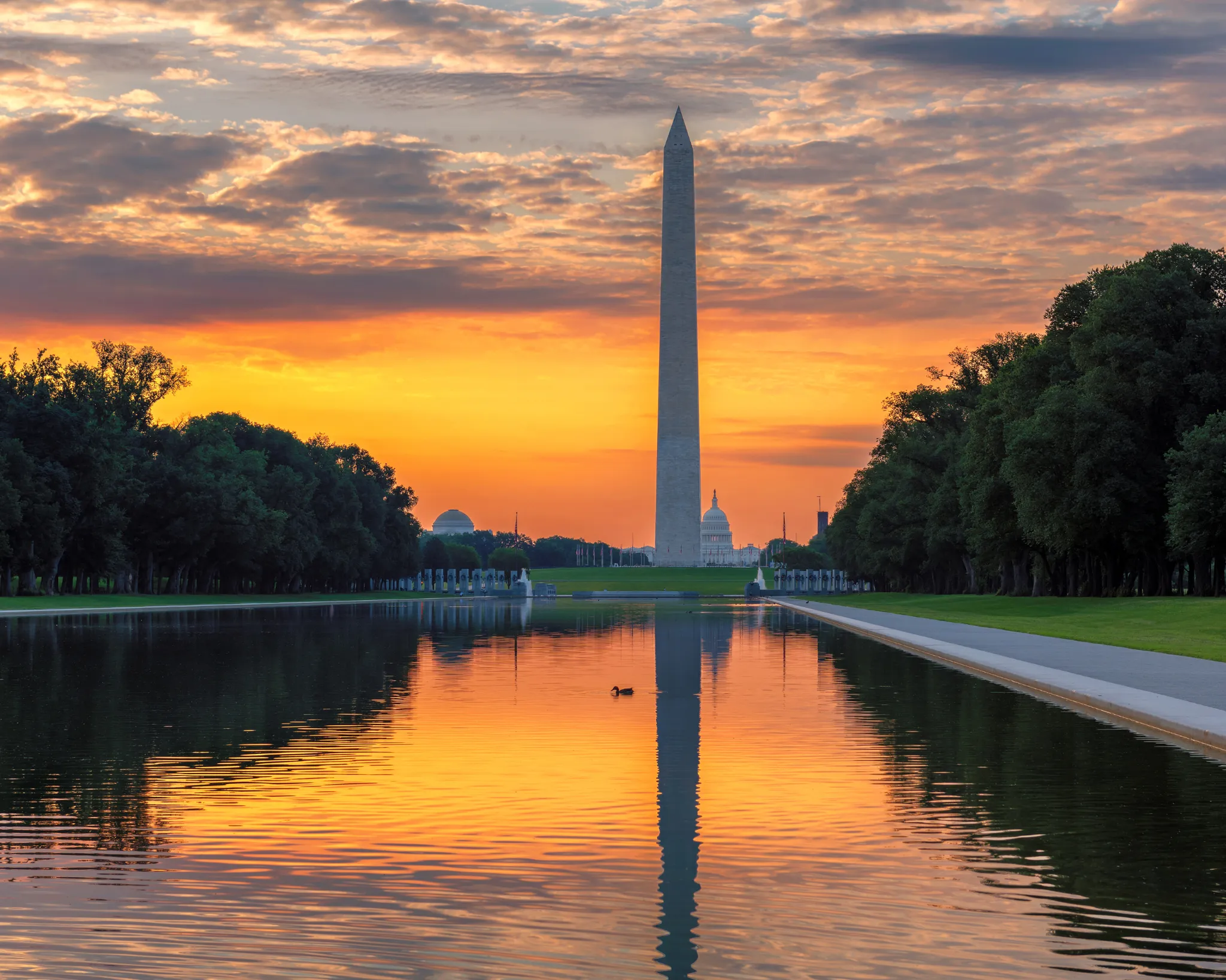 Short-Term Furnished Rentals in DC: Your Complete Guide for 2026