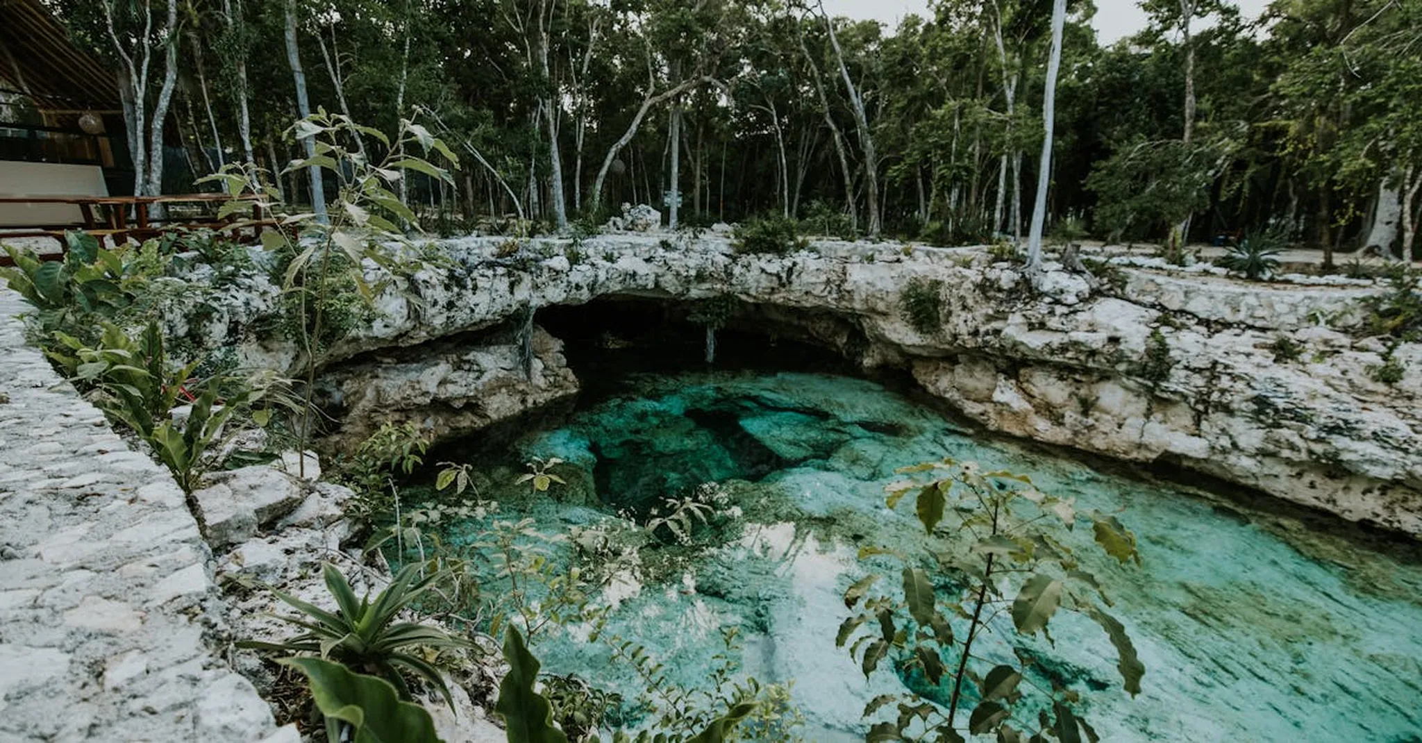 Tulum in July 2026: Beating the Heat with Cenote Day Trips