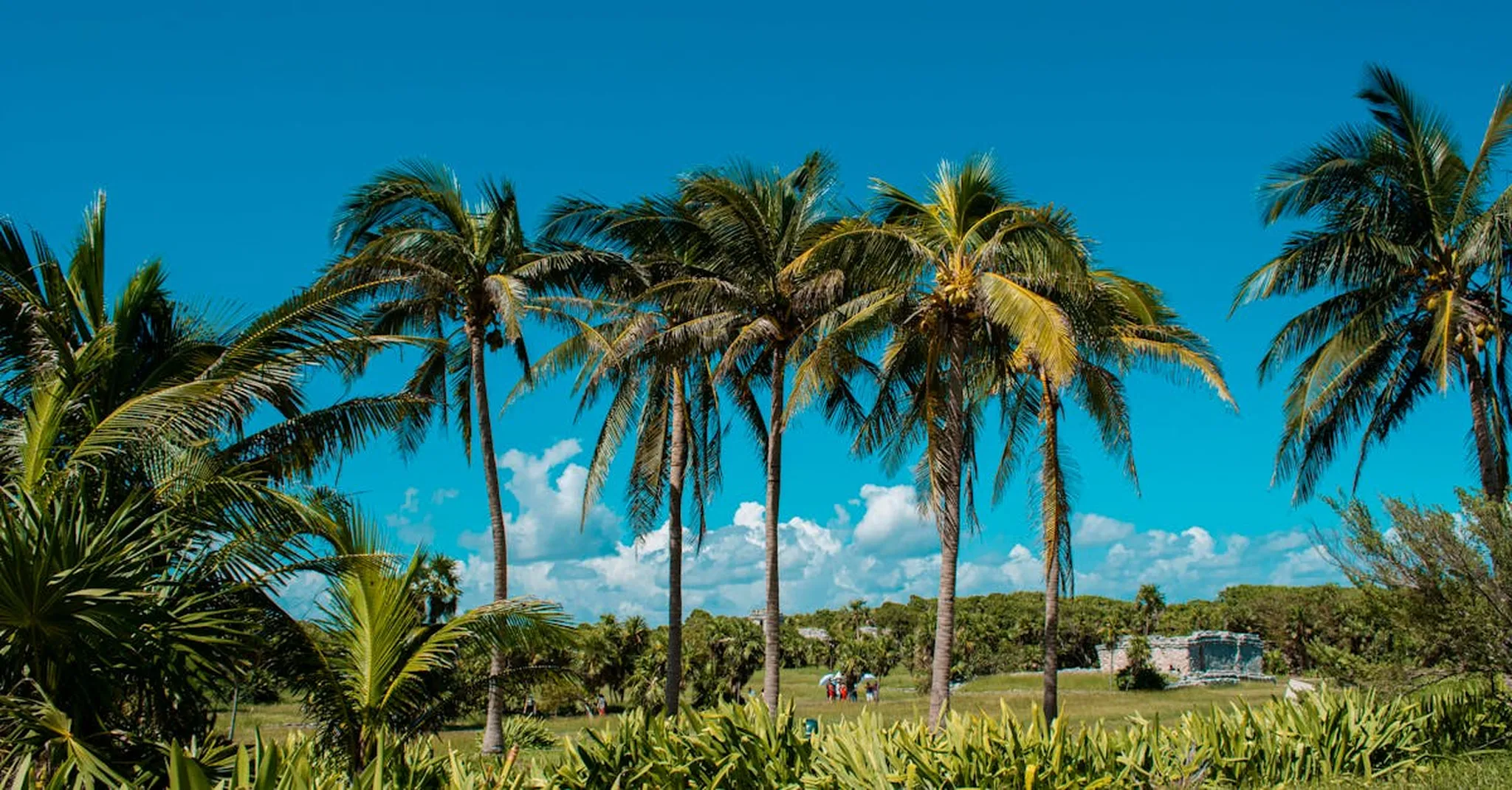 Zamna Festival Tulum 2026: Where to Stay Near the Jungle Venue