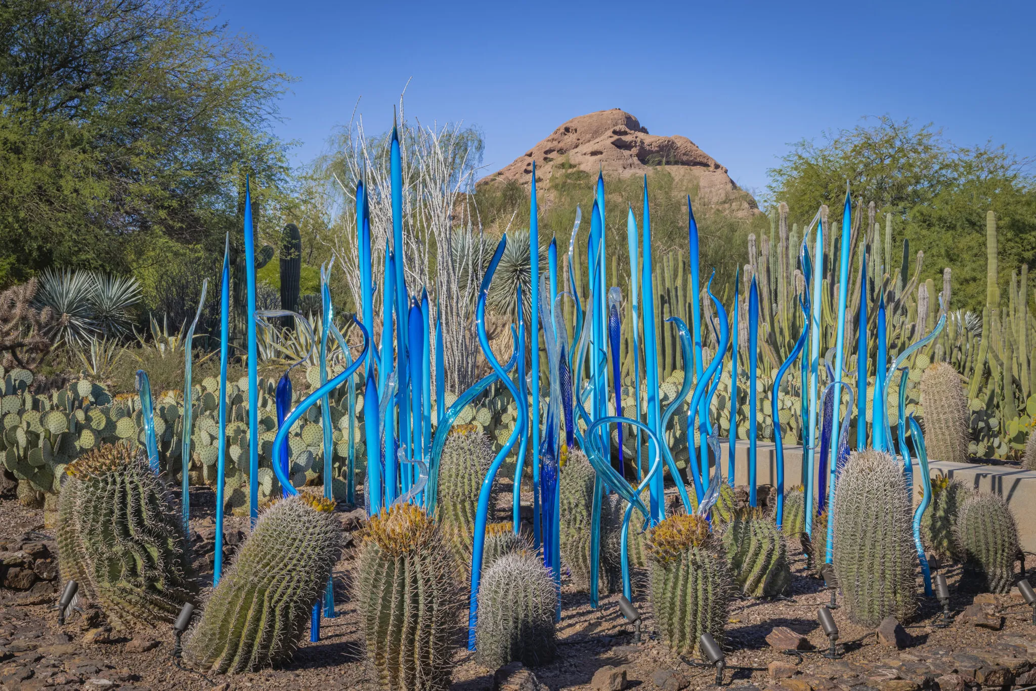 Discover the Best of Scottsdale: A Perfect Day Out for our Guests