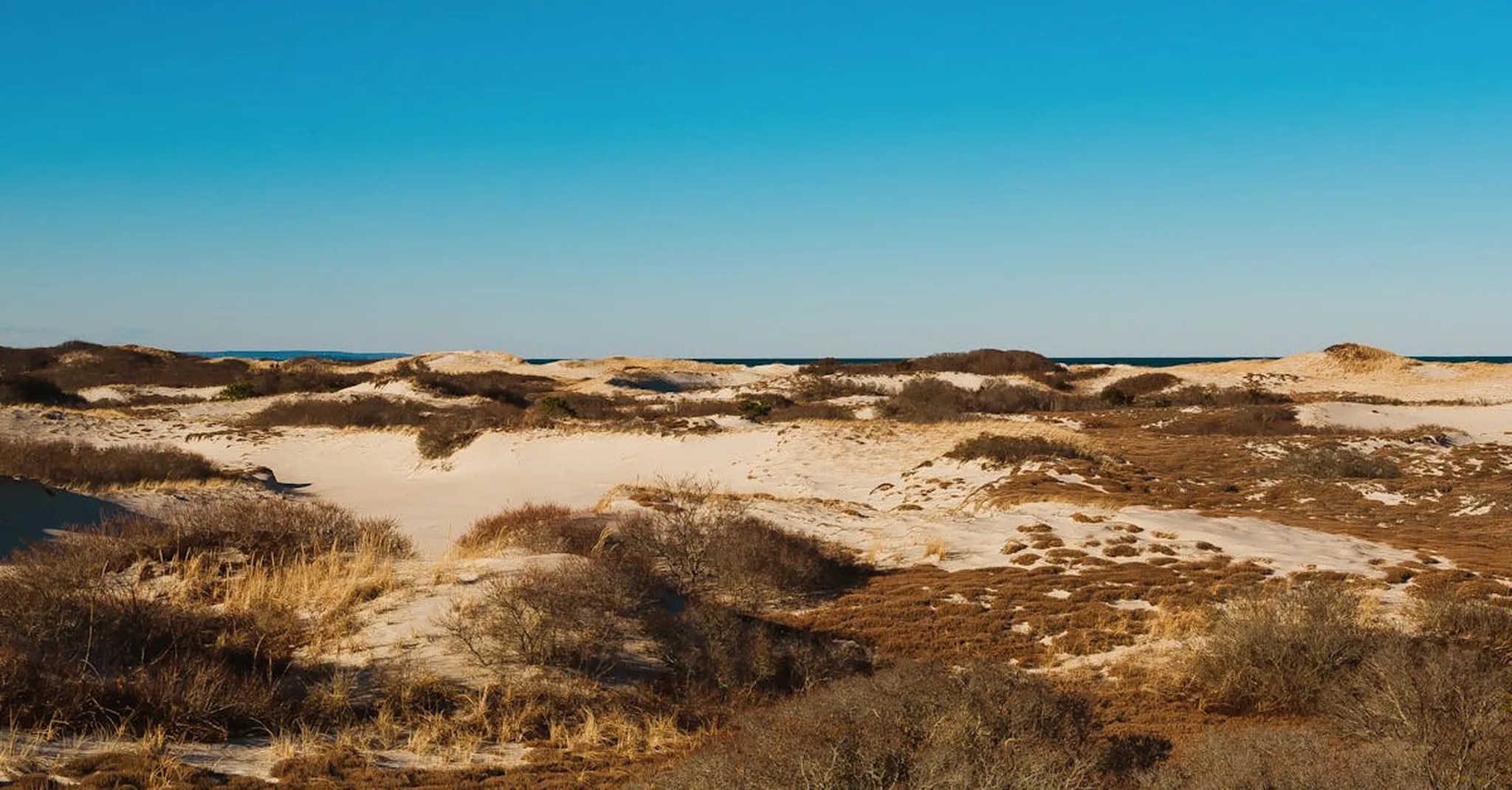 Serene landscape of Cape Cod's sand dunes and clear blue sky, showcasing natural beauty.