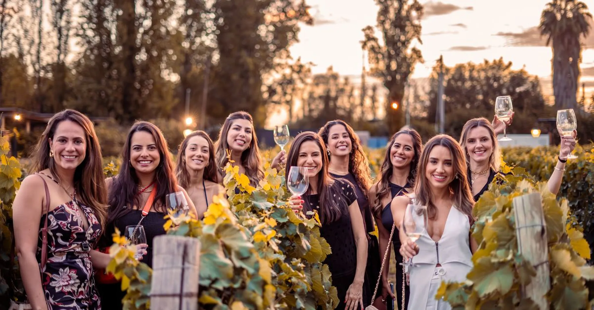 St. Charles Girls' Weekend Getaway: Wine Trails, Spa Days and Group Stays