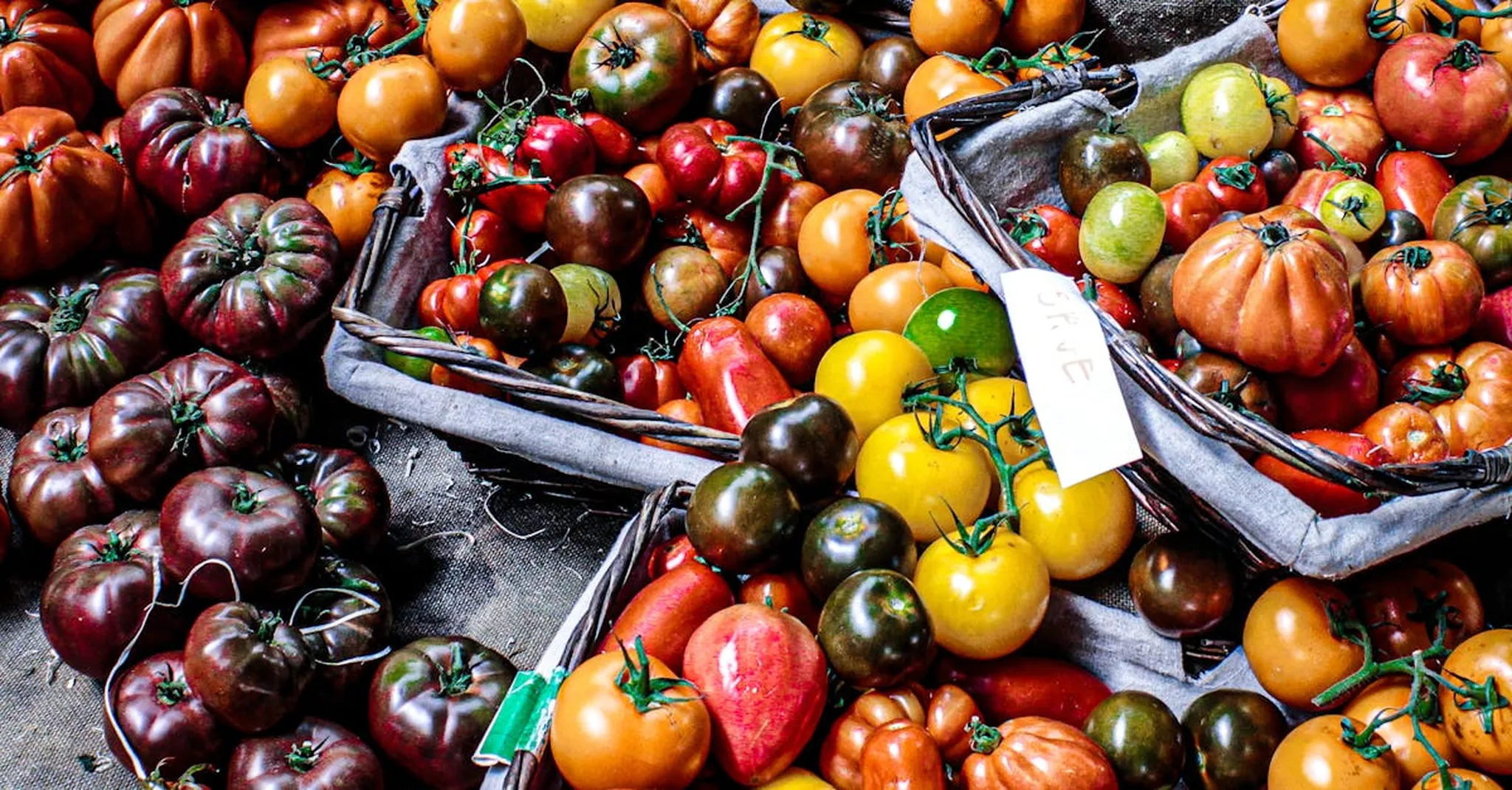 Creole Tomato Festival 2026: French Quarter Food Fest and Where to Stay