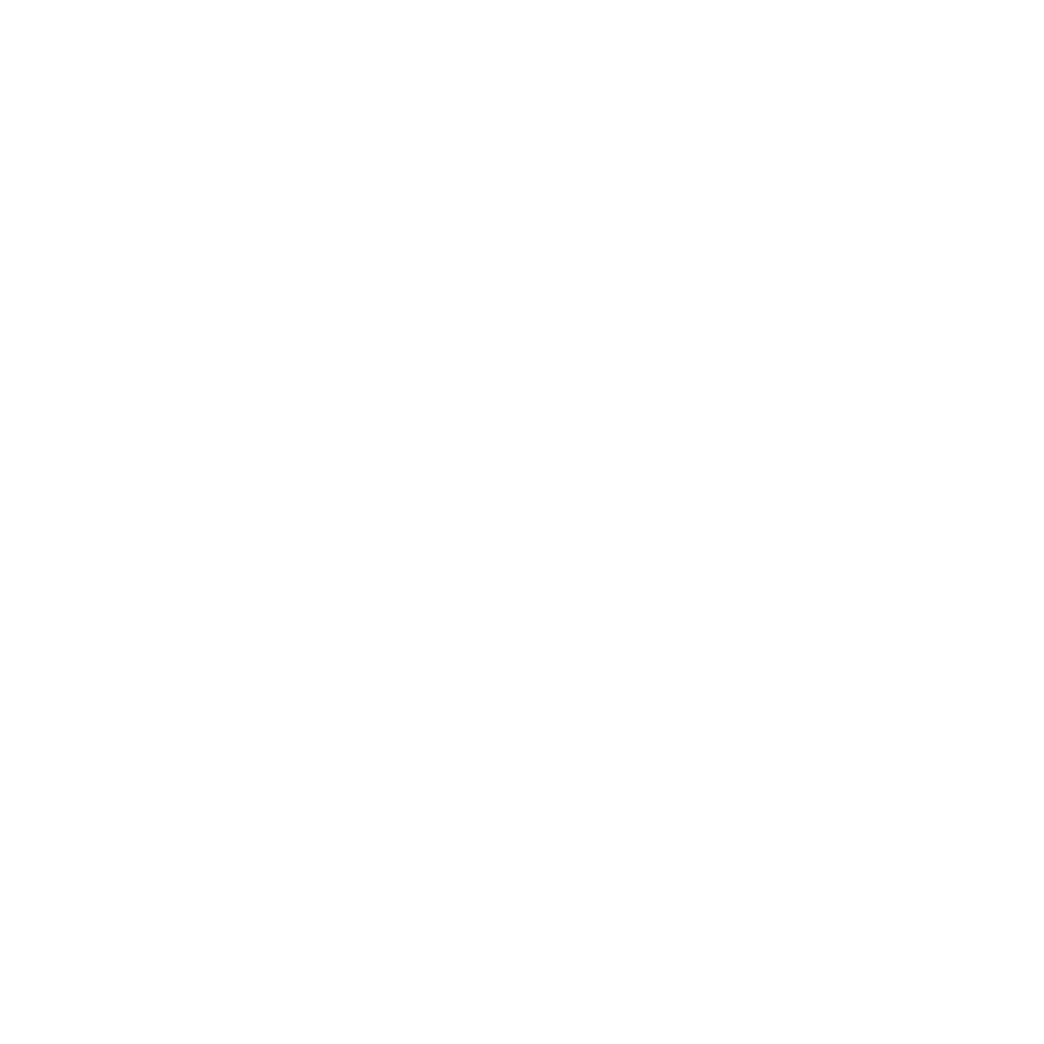 thebearcabins logo