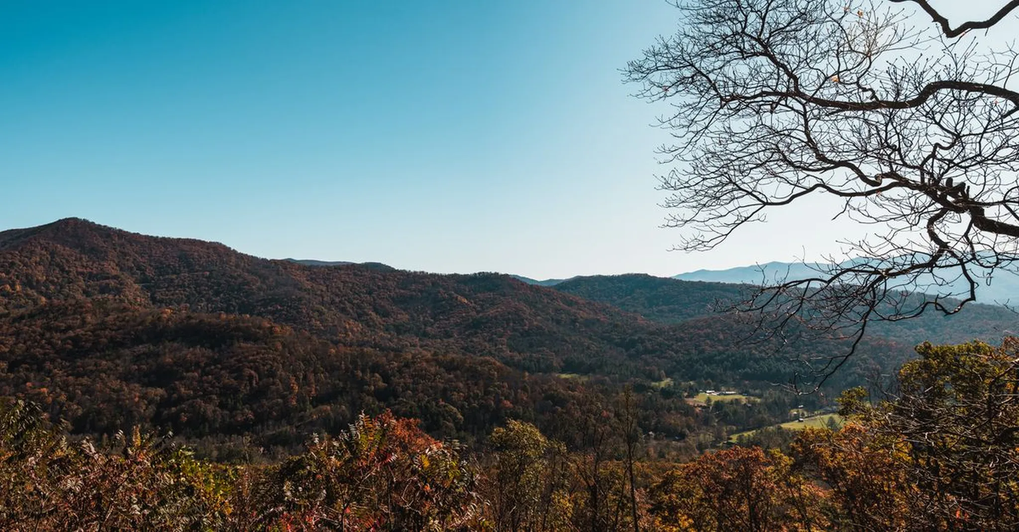Labor Day Weekend at Biltmore 2026: Wine, Gardens & Treehouse Stays
