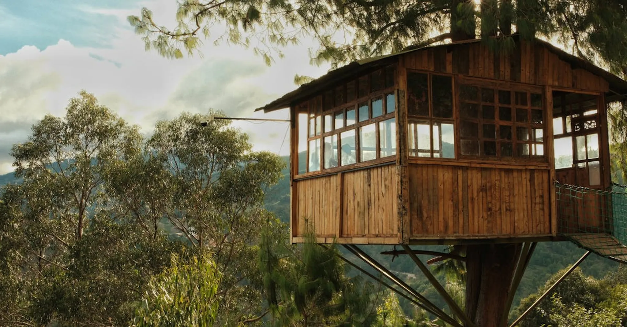 Treehouse Stays Near Asheville: A Unique Blue Ridge Experience for Groups