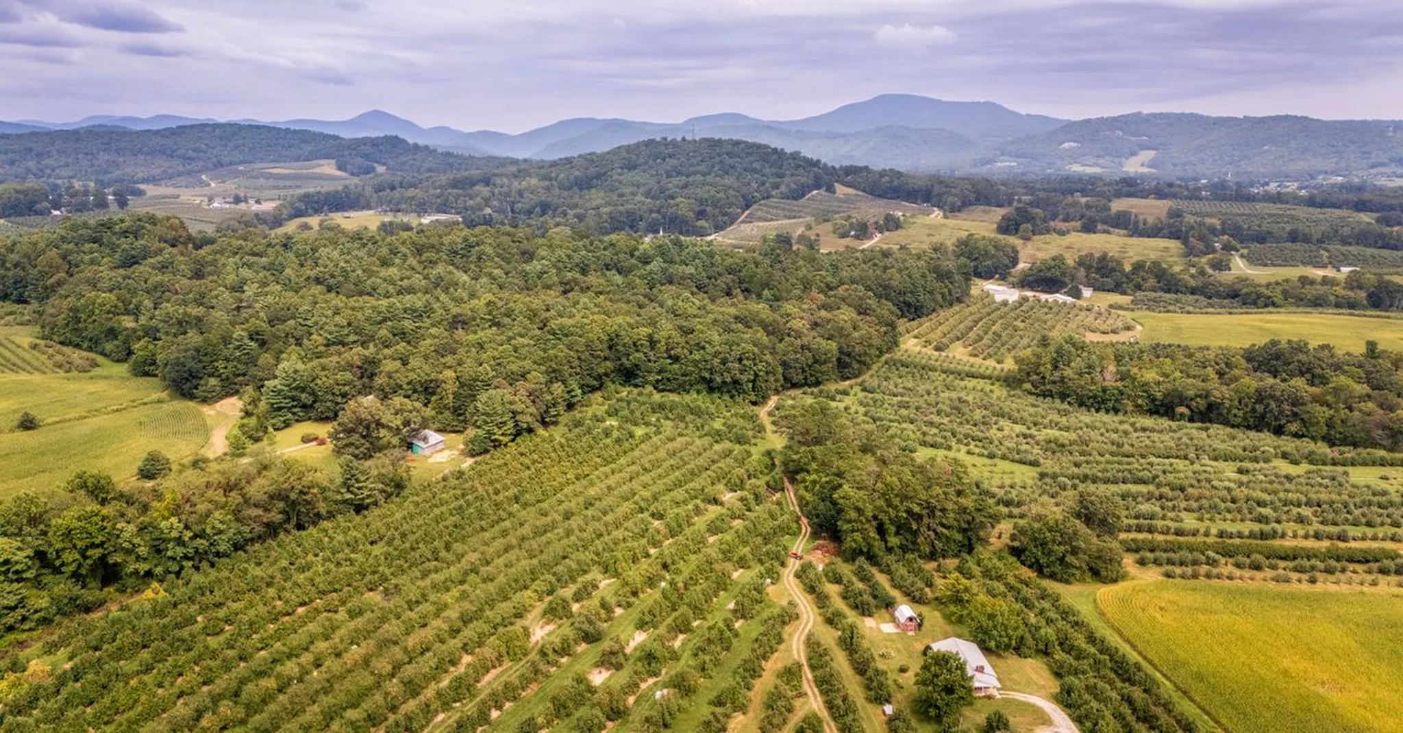 3-Day Swannanoa Itinerary: Biltmore, Breweries & a Treehouse Home Base