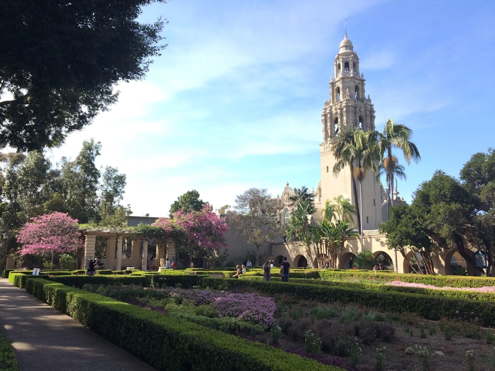Manicured garden with low hedges and pink blossoms leading to an ornate bell tower framed by palm trees under a blue sky