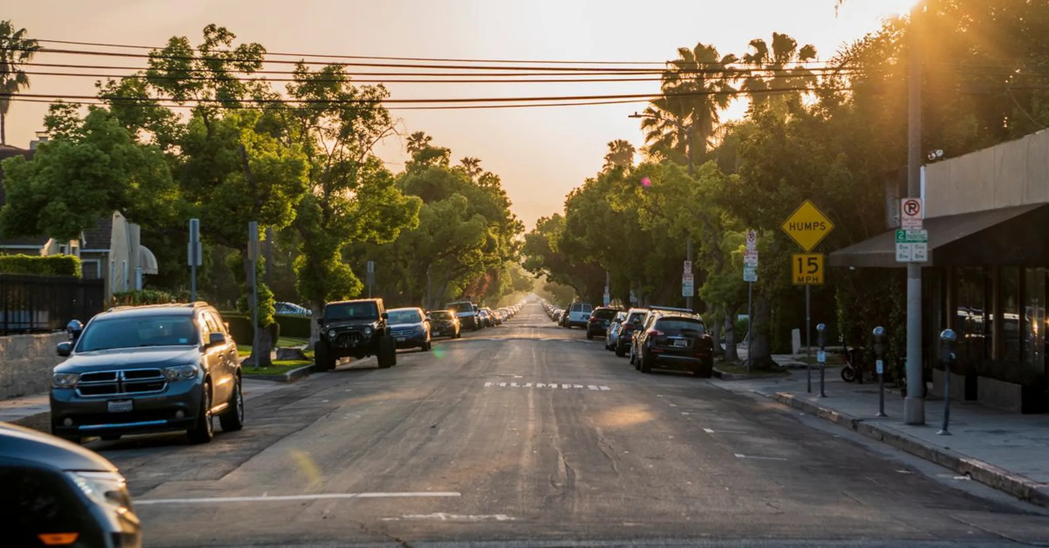Sunlit residential street lined with palm trees and parked cars, with a yellow 15 mph speed hump sign at golden hour