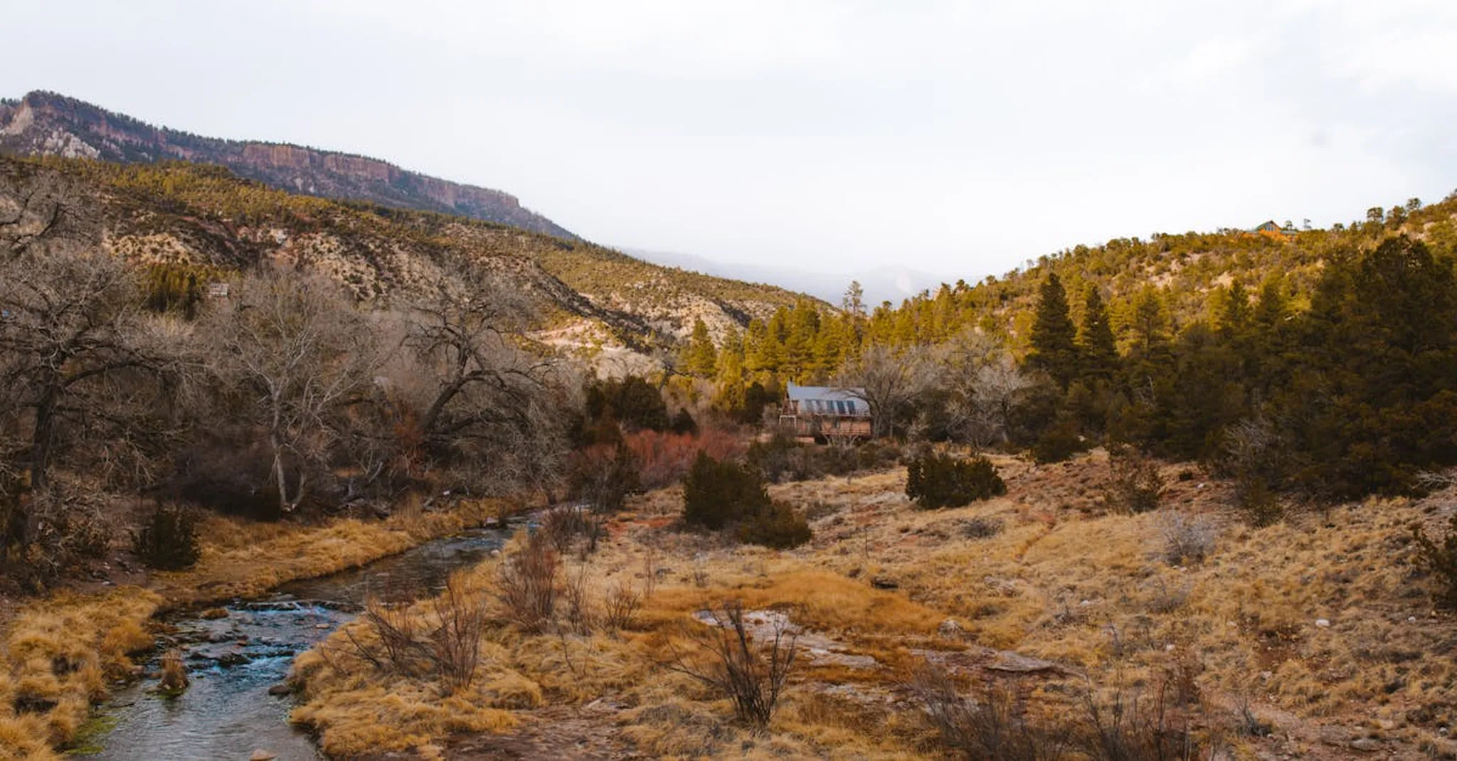 The Living Desert Zoo and Gardens: A Complete Visitor Guide for 2026