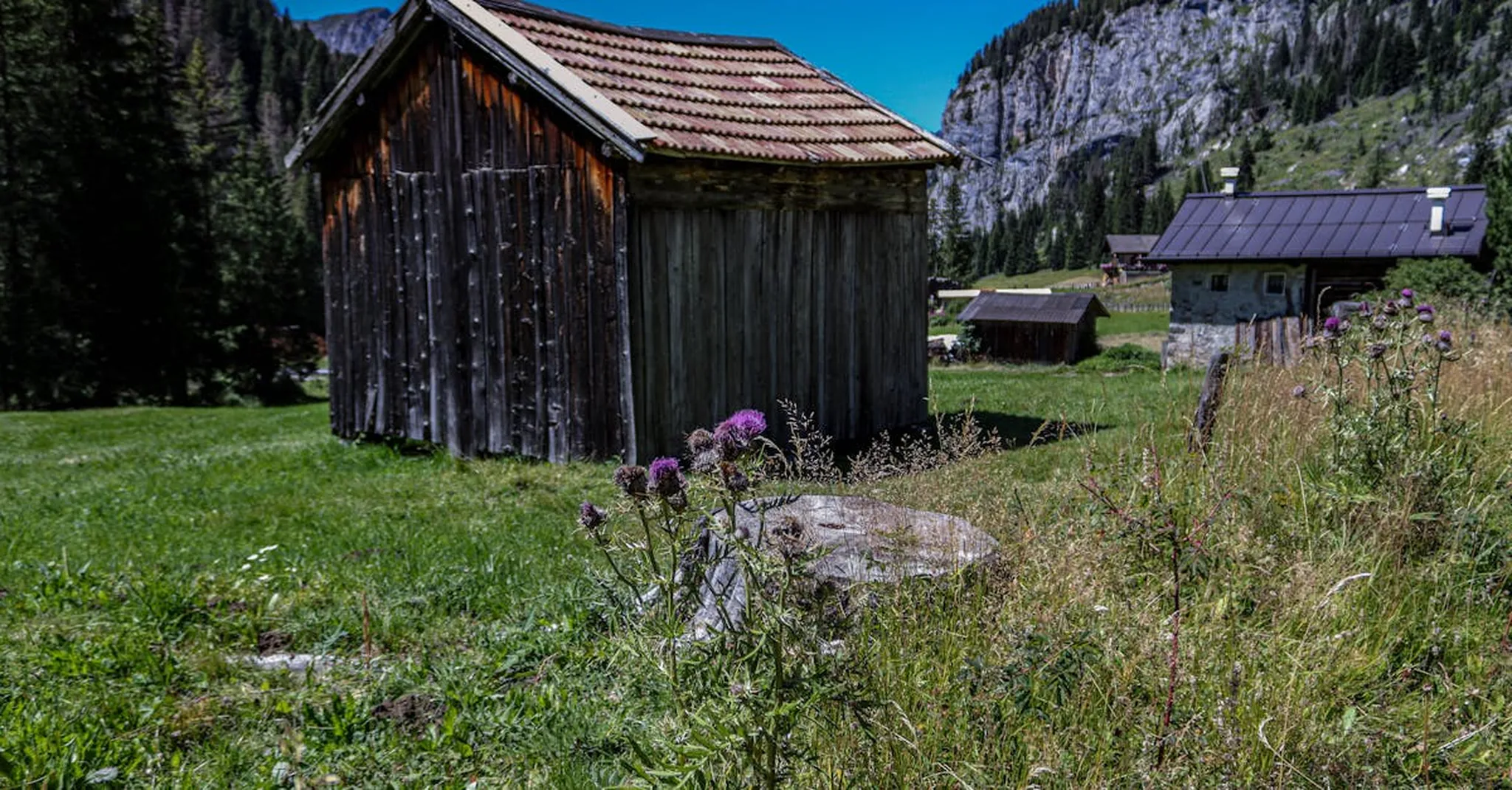 Swannanoa NC Guide: Hidden Gem Gateway to Asheville Adventures