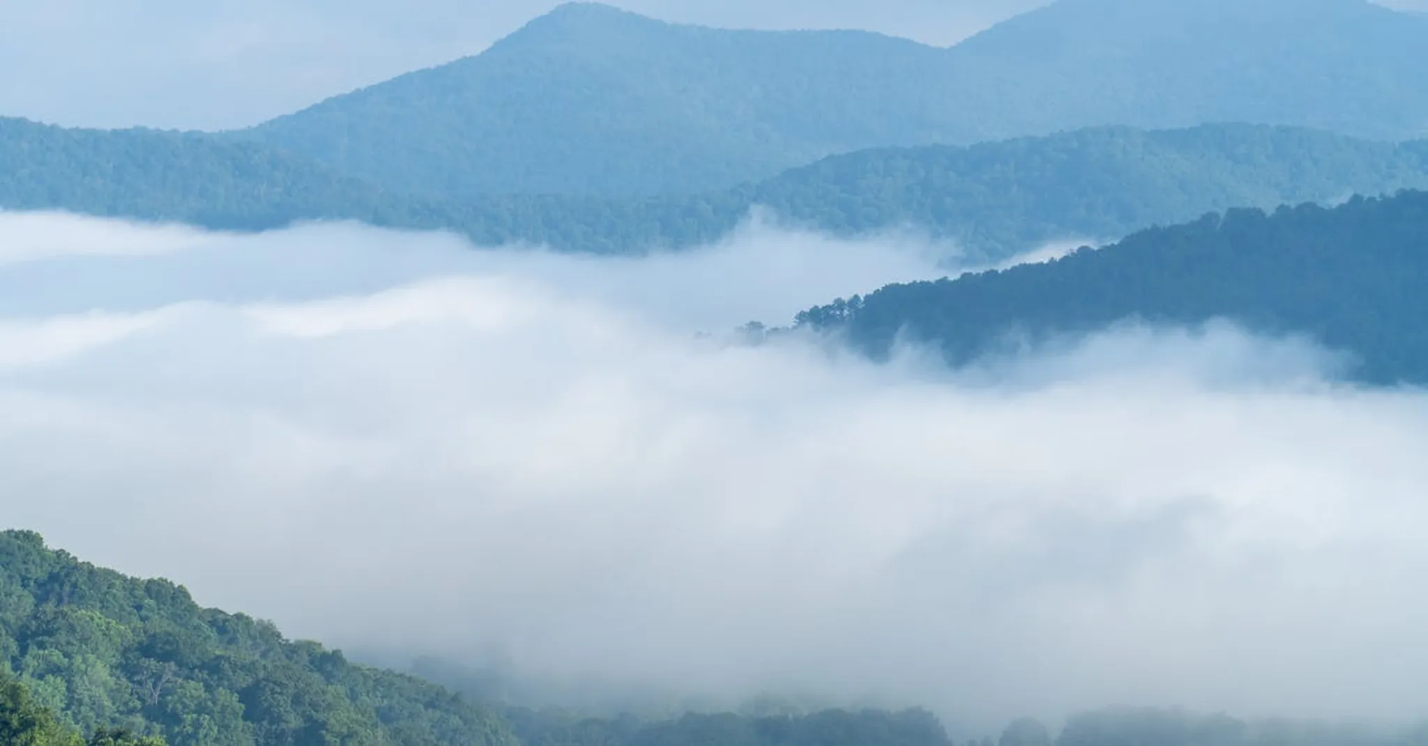 Lake Eden Arts Festival (LEAF) 2026: Where to Stay Near Black Mountain NC