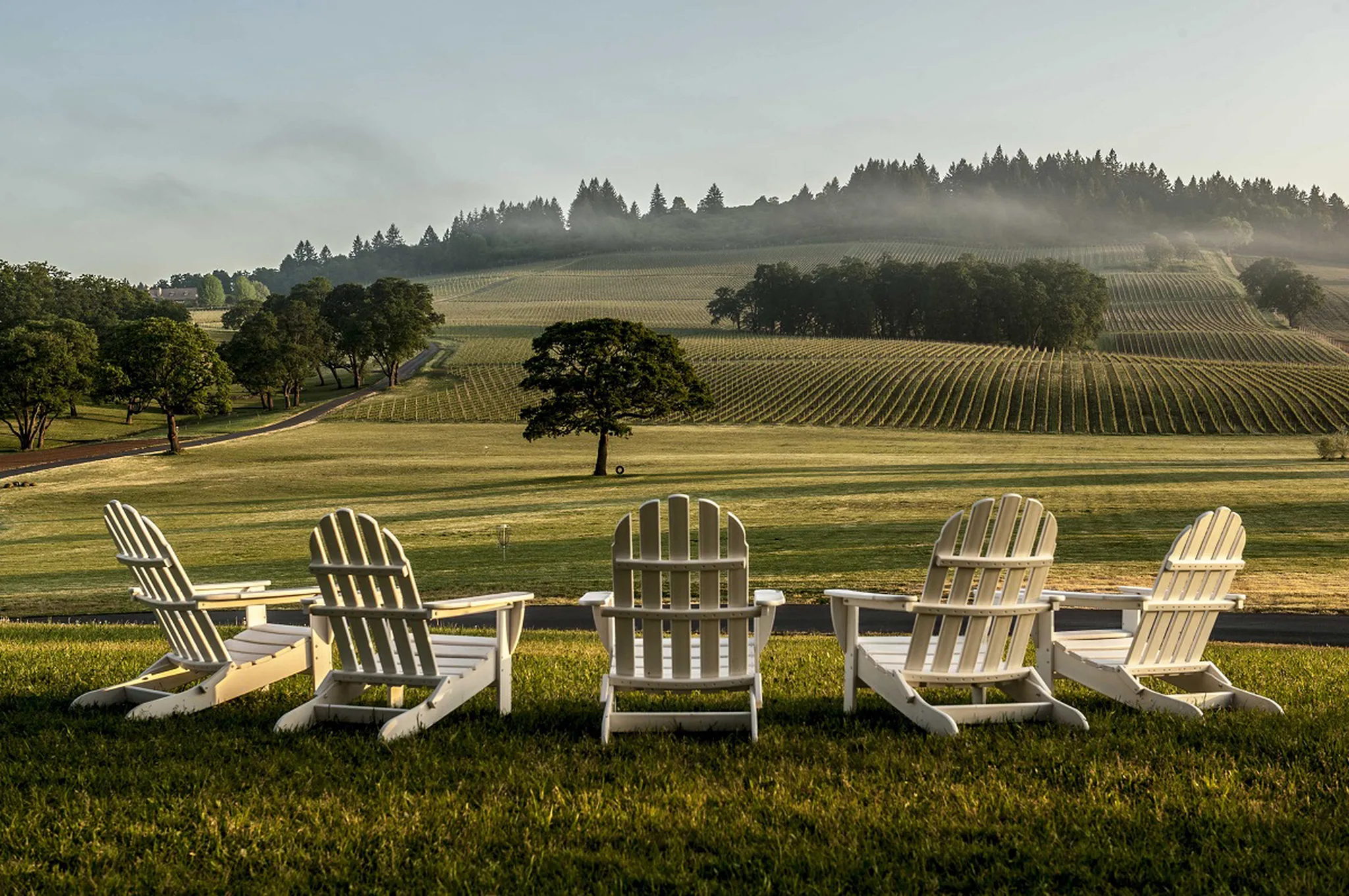 Willamette Valley! Things to do!