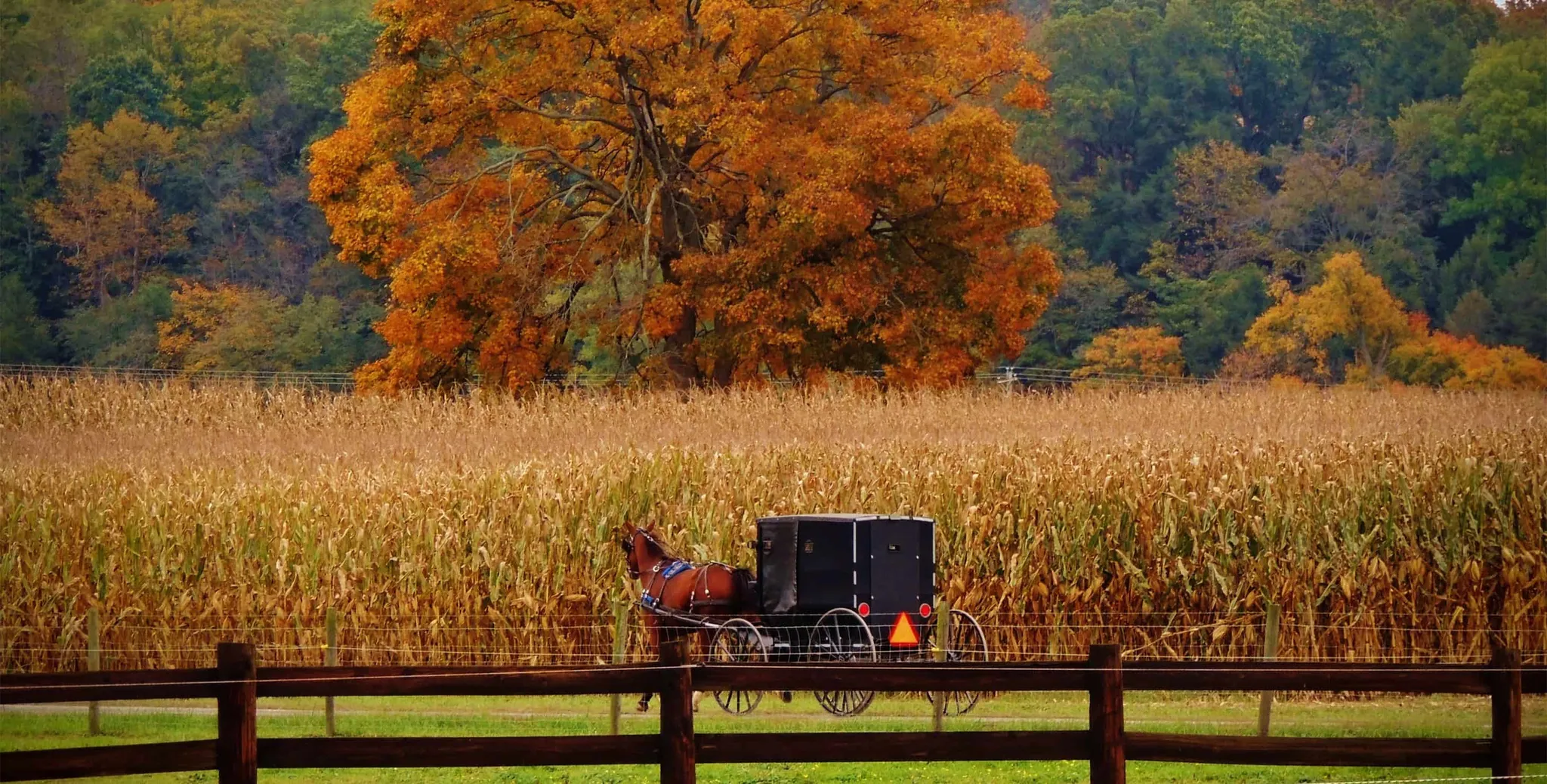 Autumn Adventures: Why Berlin, Ohio is the Ultimate Fall Cabin Destination