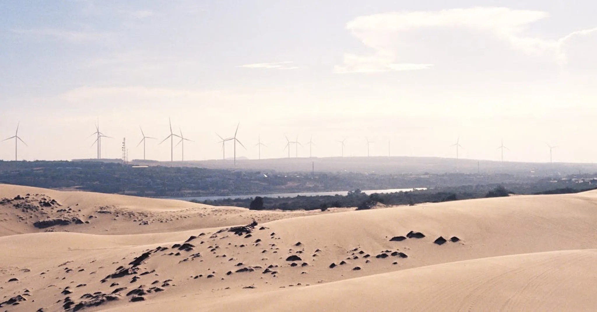 Earth Day 2026 in Tucson: Sustainable Desert Adventures & Eco-Friendly Stays