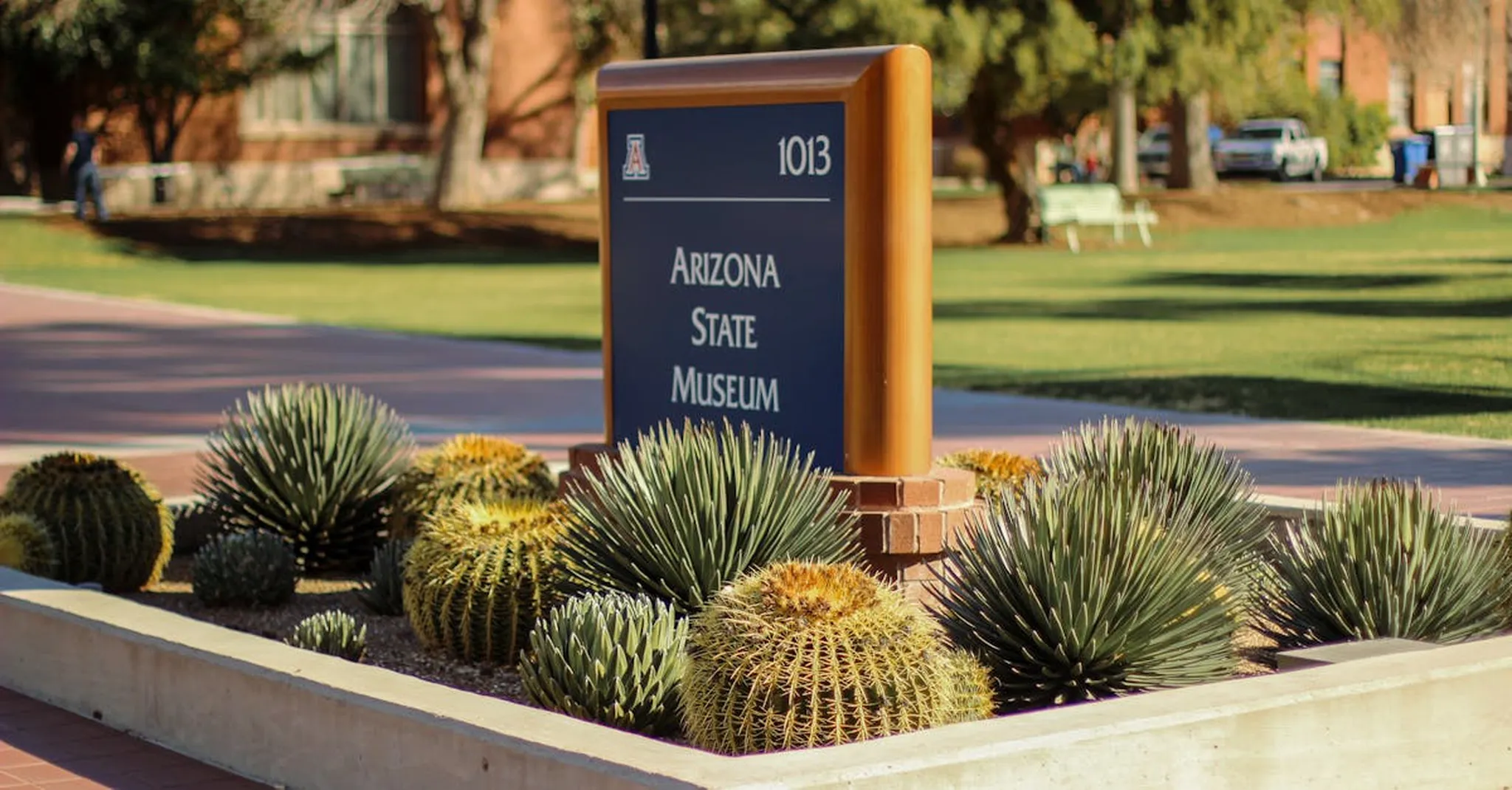 Mother's Day in the Desert 2026: Tucson Spa Day Trips and Relaxing Rentals