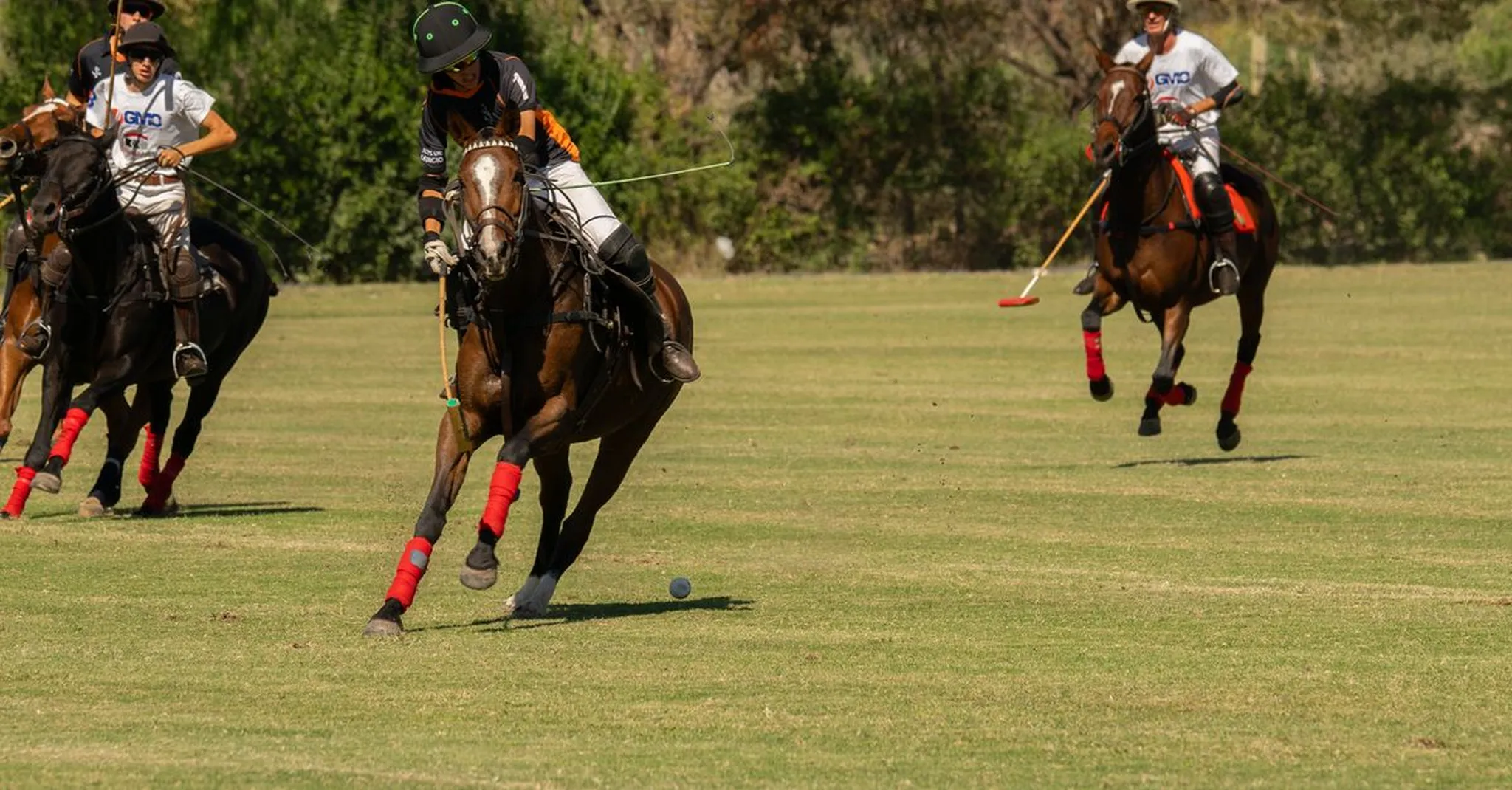 Big Horn Polo Season 2026: July Matches, Schedules & Where to Stay
